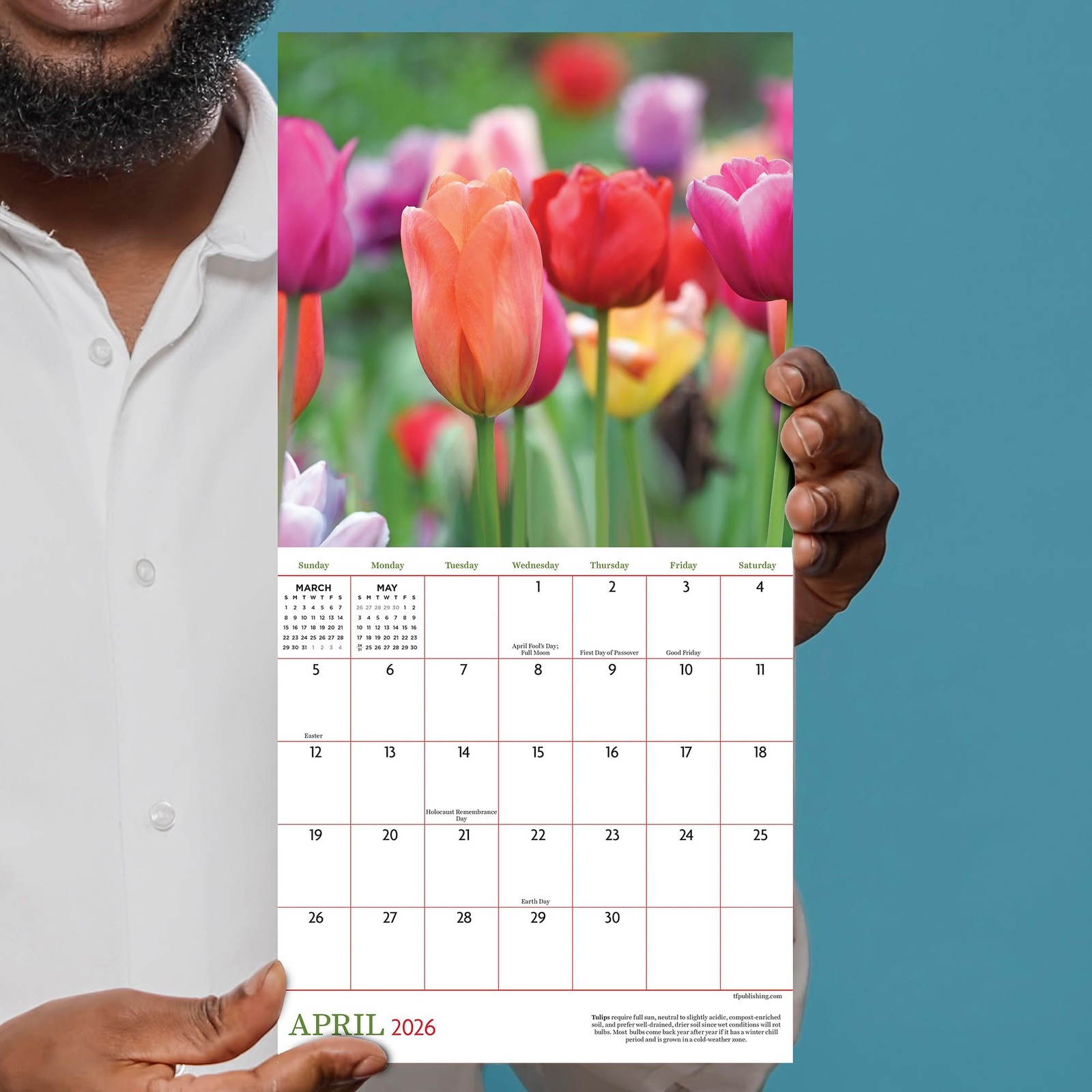 TF Publishing 2026 Flowers Mini Calendar with Monthly Grids for Mini,