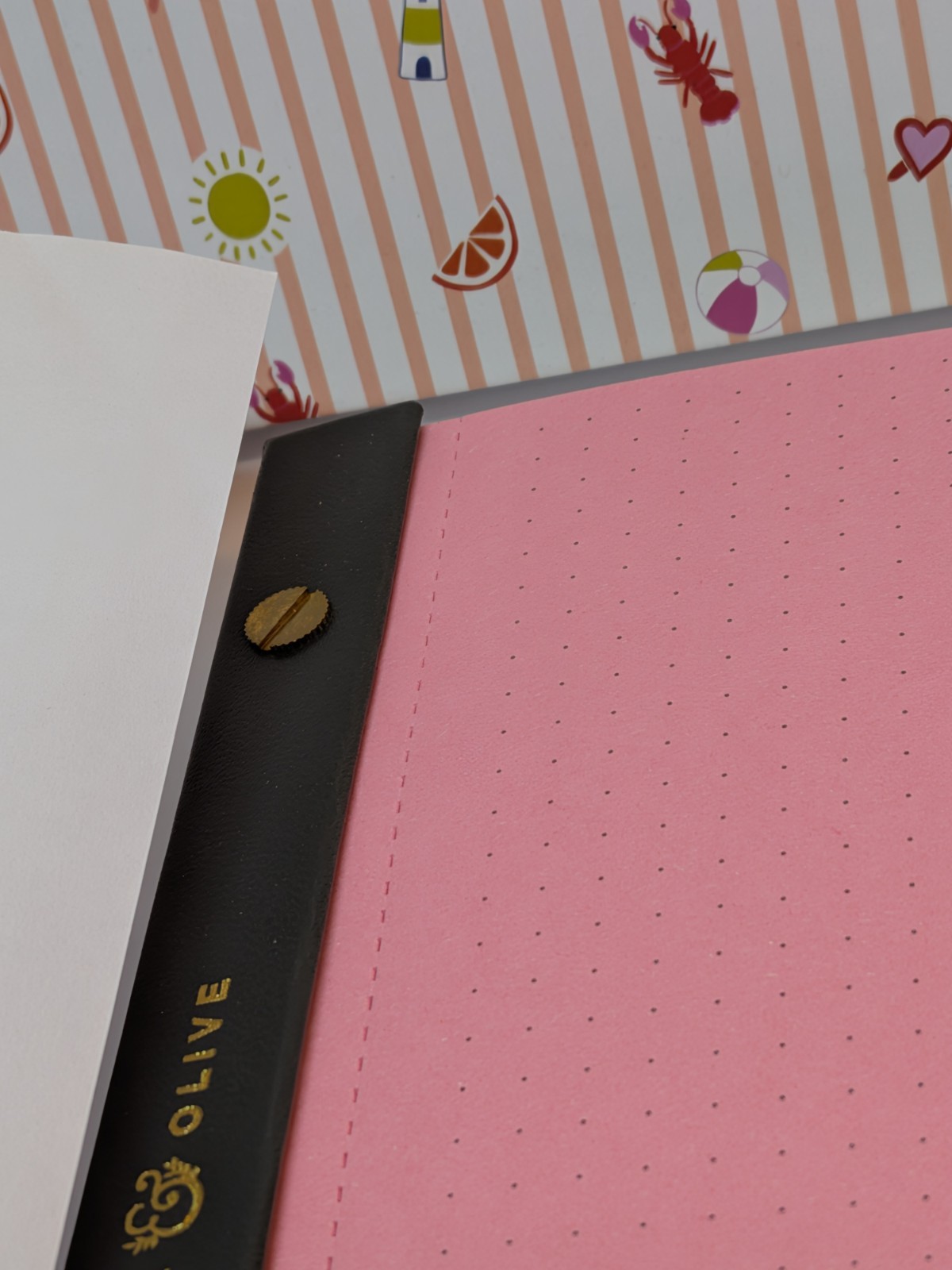 Archer & Olive Pastel Rainbow 8×8 Square Notebook Dot Grid Tear Away Rare NEW