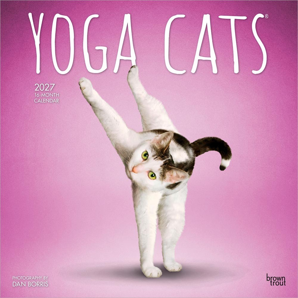 Yoga Cats OFFICIAL | 2027 12×24″ (Hanging) Square Wall Calendar | Plastic-Free