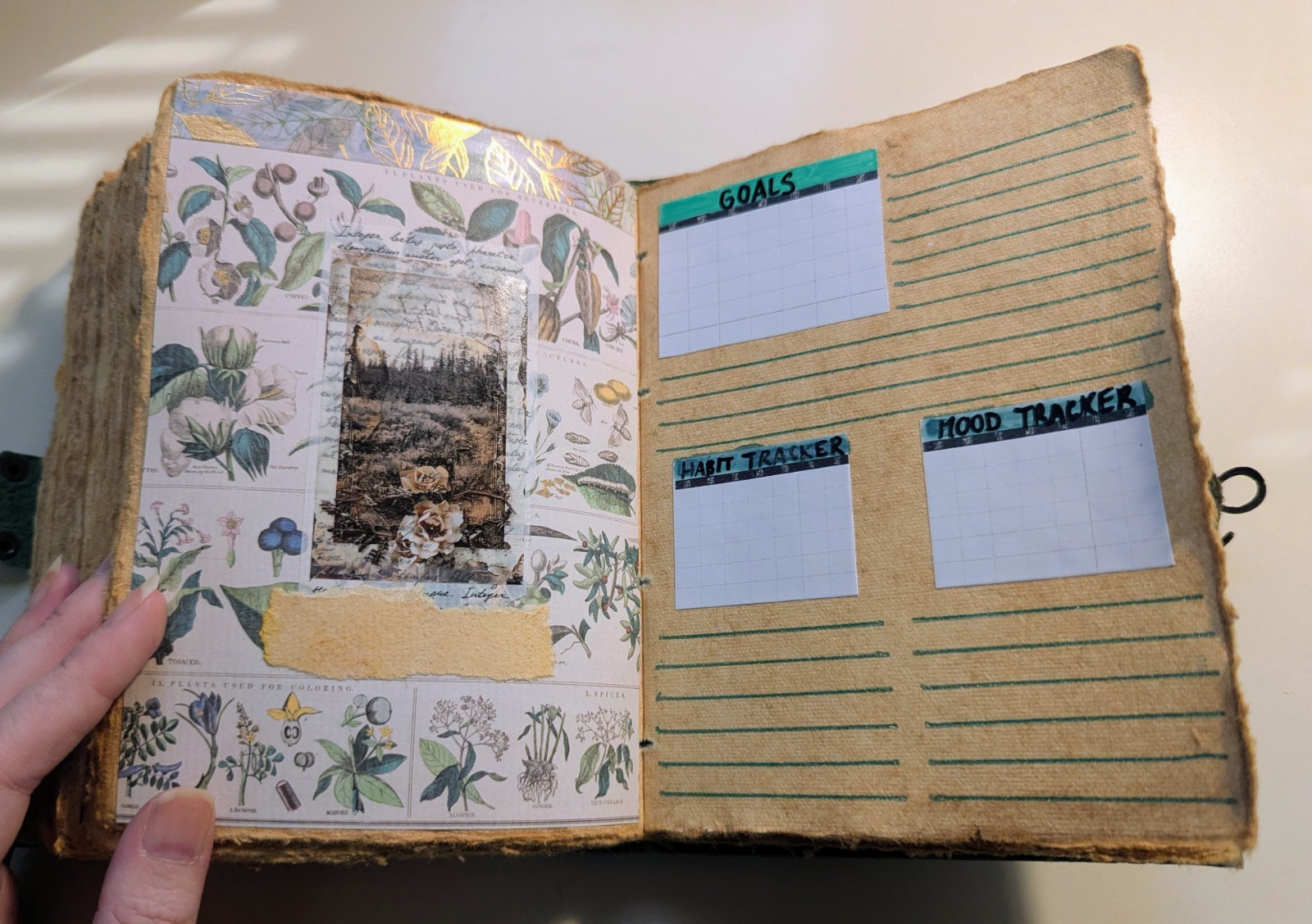 Undated 15 Month Planner Journal In Nature Green Floral Unique