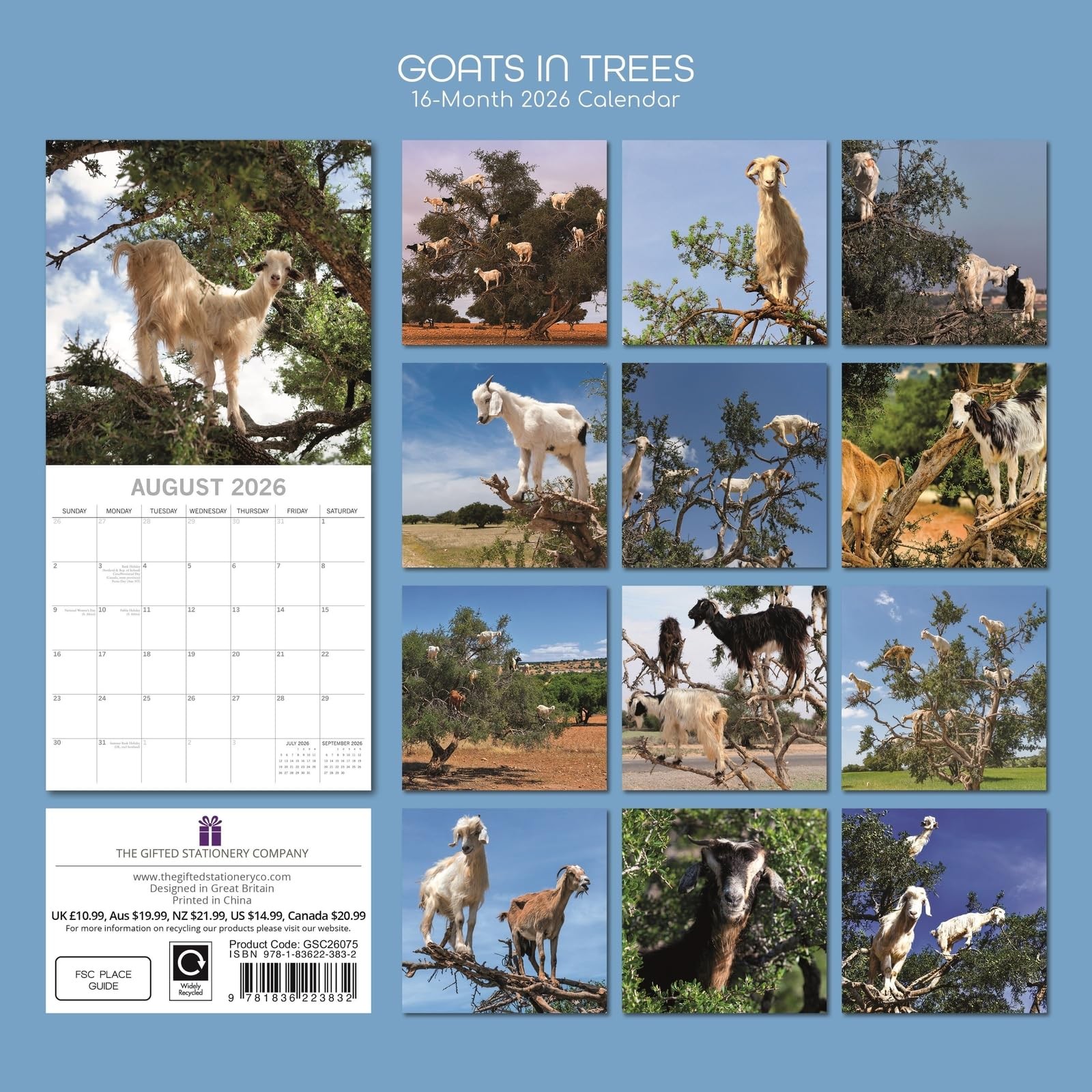 The Gifted Stationery 2026 Square Wall Calendar, Goats in Trees, 16-Month…