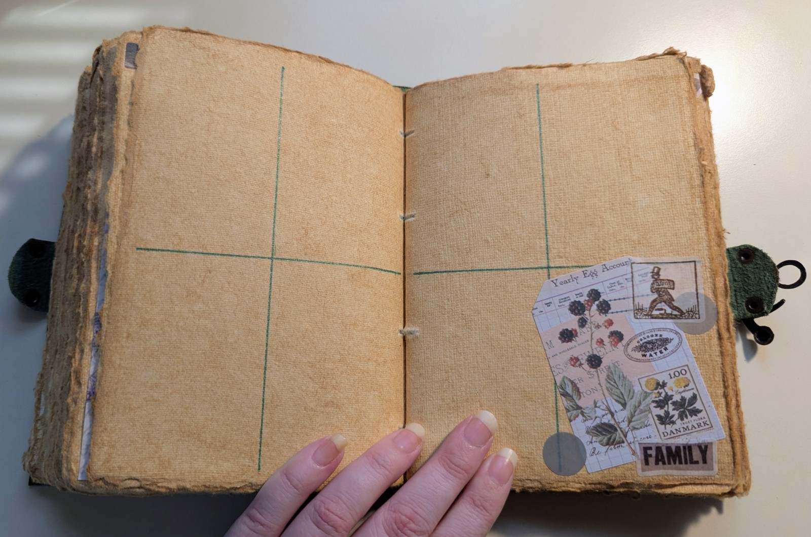 Undated 15 Month Planner Journal In Nature Green Floral Unique
