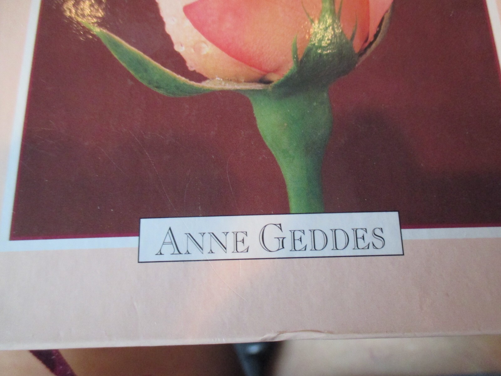 Vintage Anne Geddes 1994 Address Book 5 1/2″X 7 1/2″