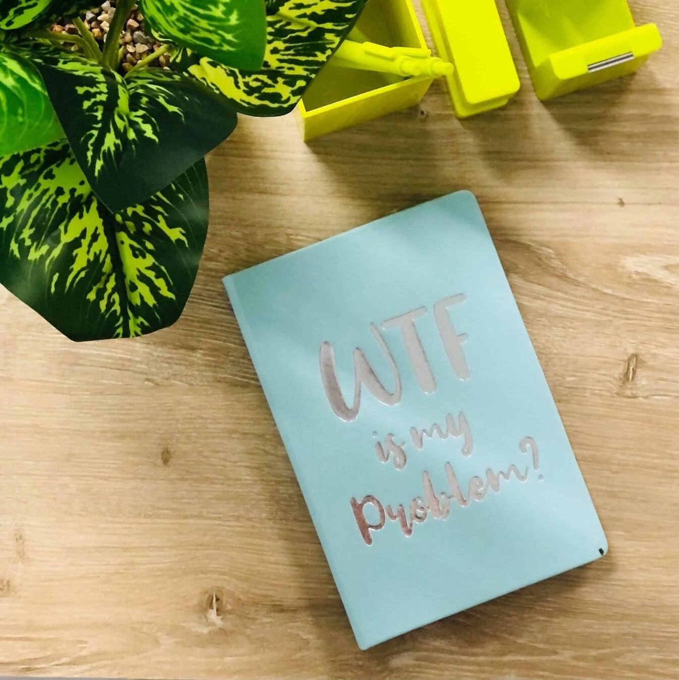 Journal/Notebooks