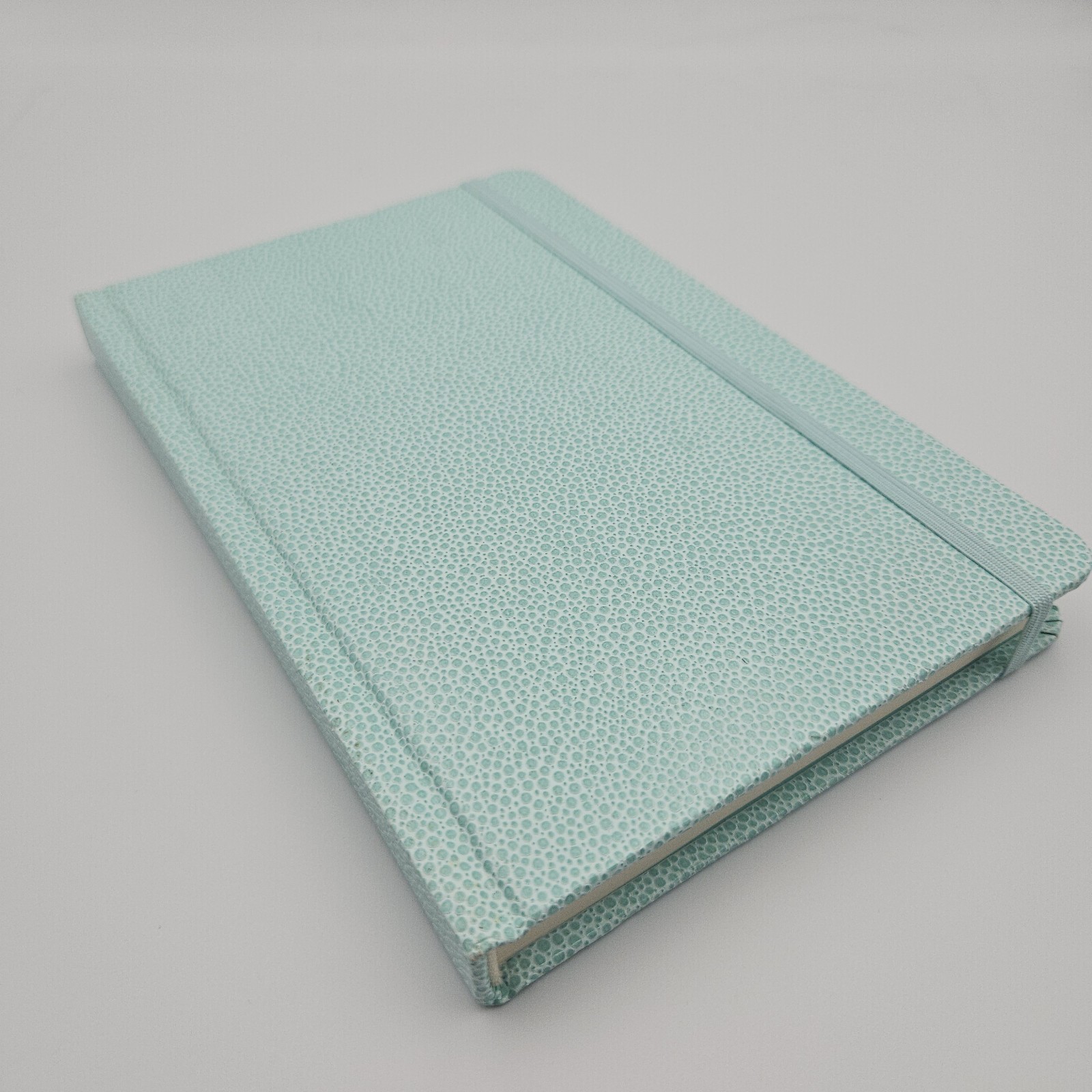 Martha Stewart Shagreen Journal 5.5×8.5 inches with 212 lined pages
