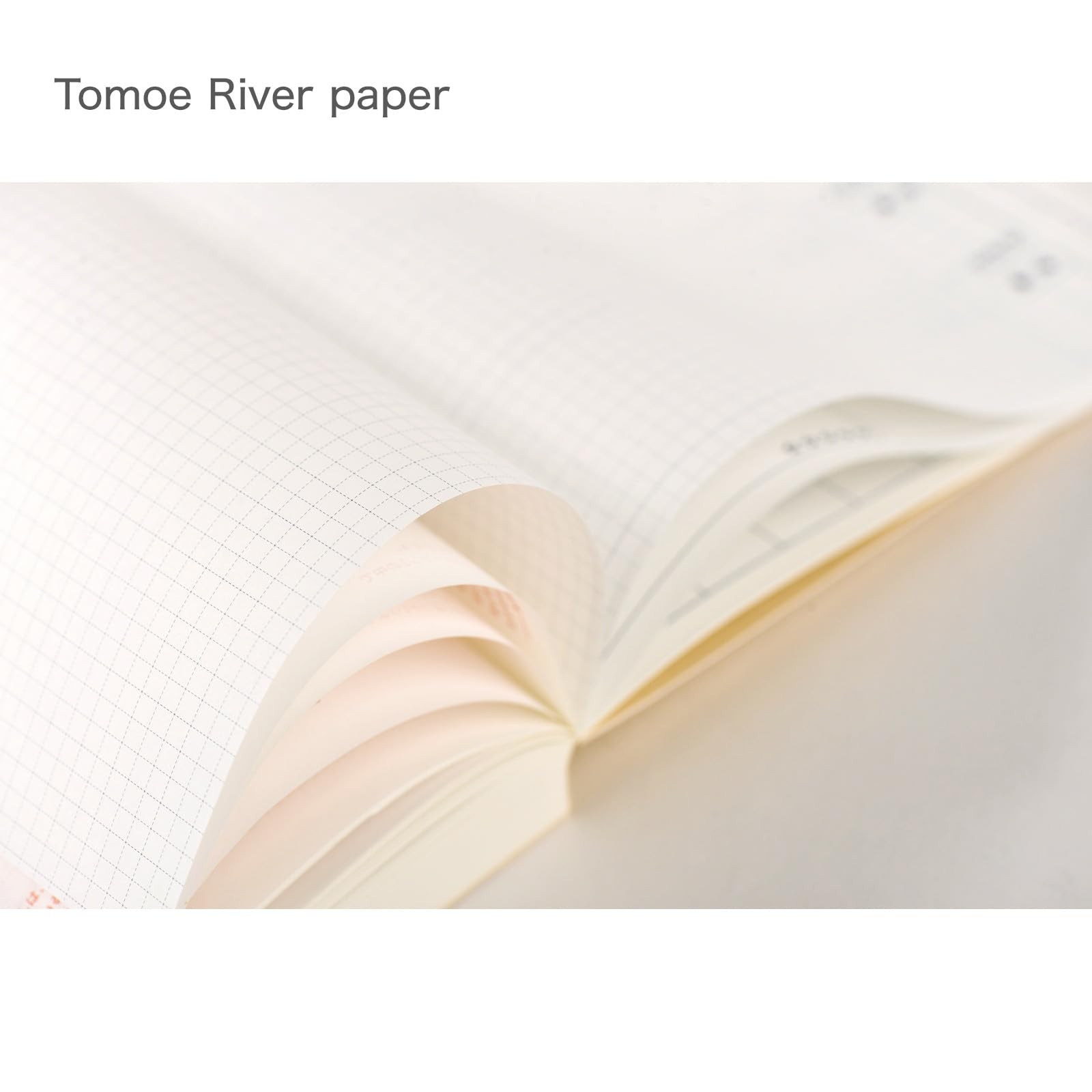 Hobonichi Techo 2026 Day-Free Book – A6, Japanese, Monthly, January start, Mo…