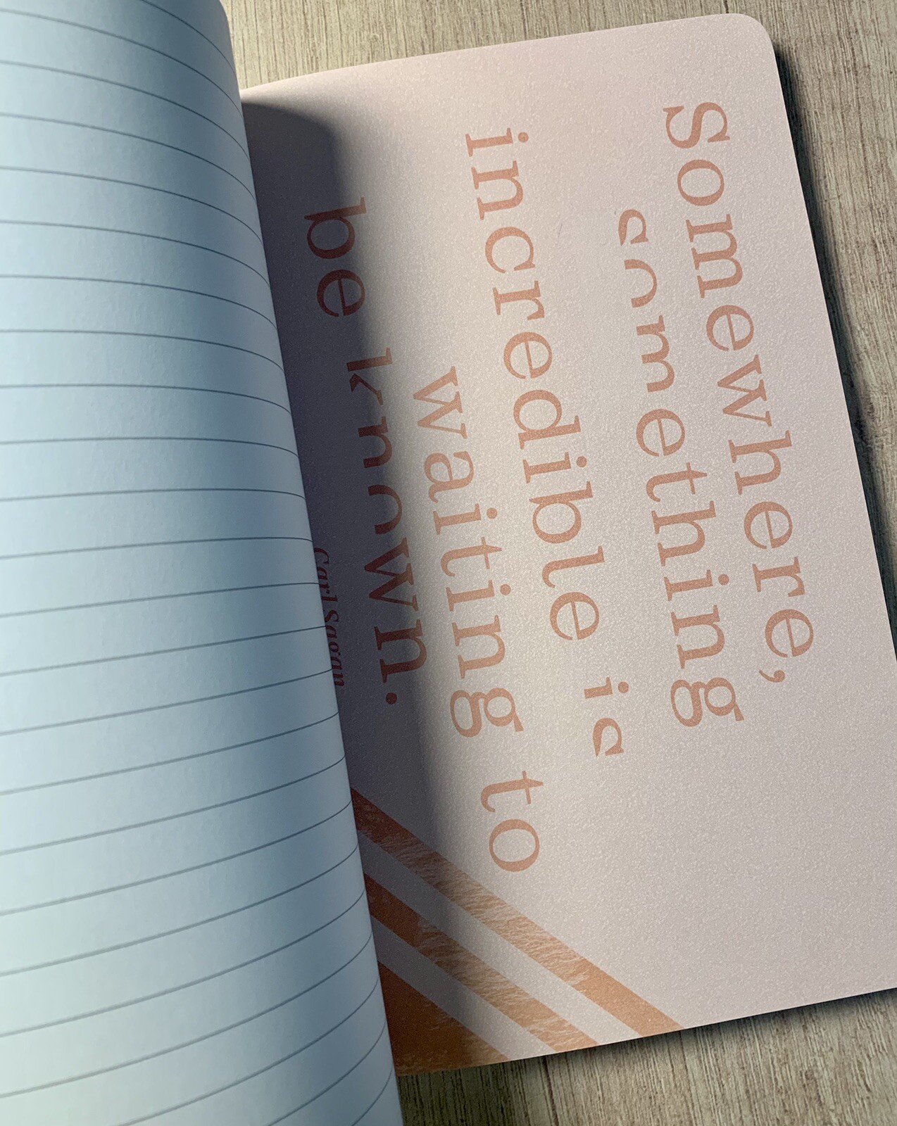 Write Now Journal by Compendium Softcover 128 Lined Pages Quotations Full Color