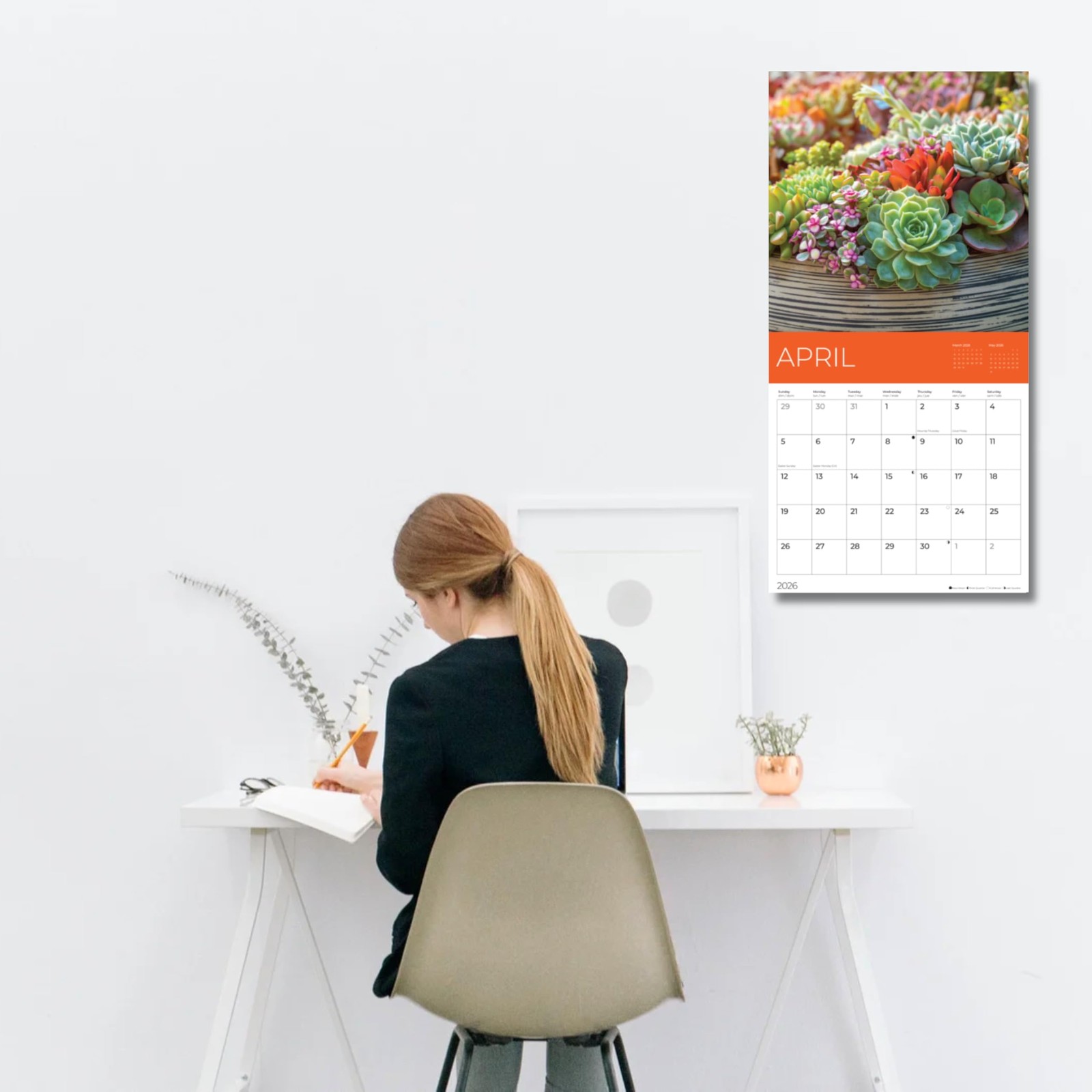 2026 Succulents Wall Calendar 18 Month | 12″ x 24″ Open | 12 x 12, Succelents