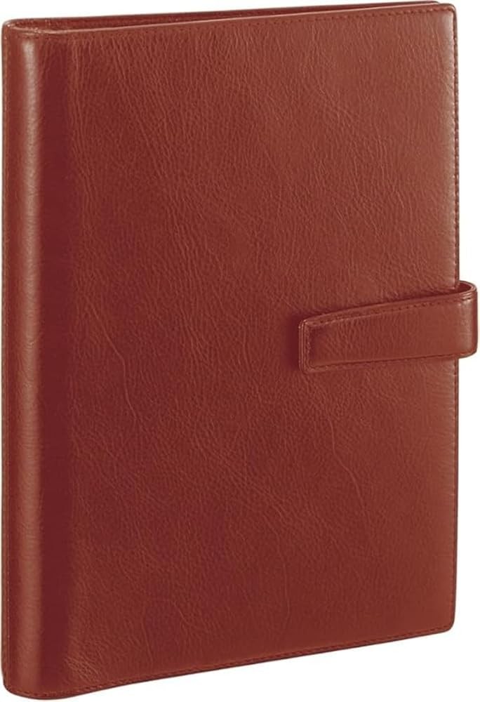 Raymay Fujii Davinci Standard A5 Brown System Planner DSA3002C