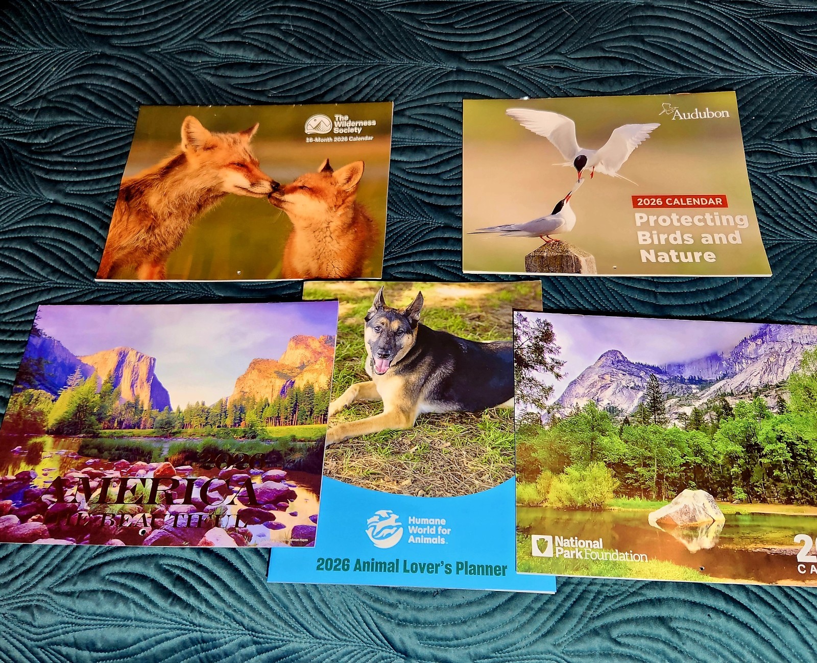 All 5 2026 Wall Audubon, Protecting Birds , Nature Animals Calendars Great Deal