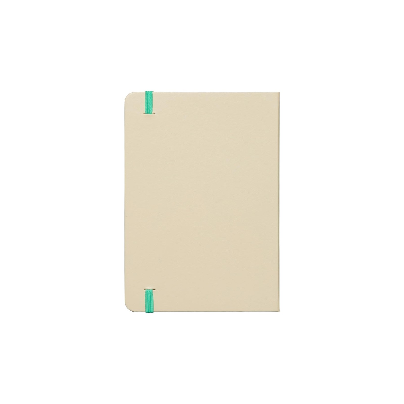 HIGHTIDE Planner, Bee, Green, A6, Black, Starting October 2025