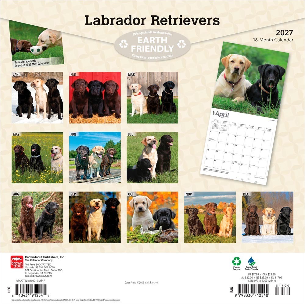 Labrador Retrievers | 2027 12×24″ (Hanging) Square Wall Calendar | Plastic-Free
