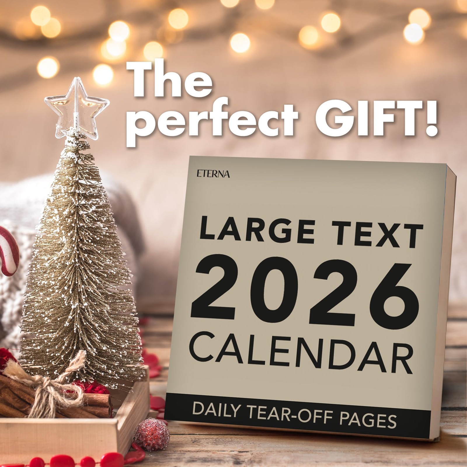 2026 Large Text Daily Calendar | Today Is Box with Big 2026