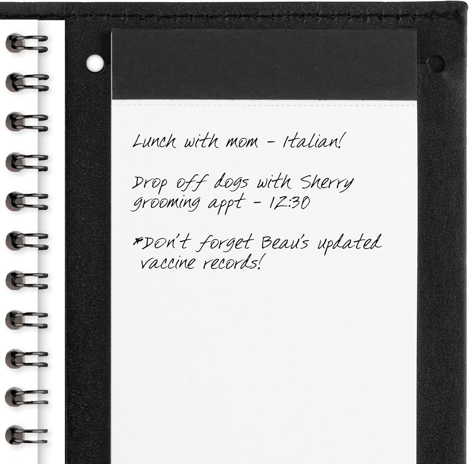 AT-A-GLANCE 2026 Appointment Book Planner, Weekly, Refillable, 3-1/4″ X 6-1/4″,