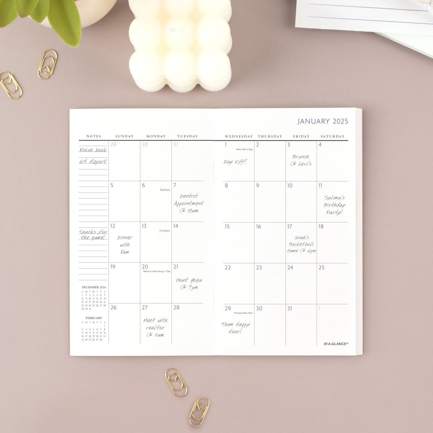 AT-A-GLANCE 2025-2026 Planner 3-1/2″ x 6″ Pocket Size 2 Year Monthly Planner …