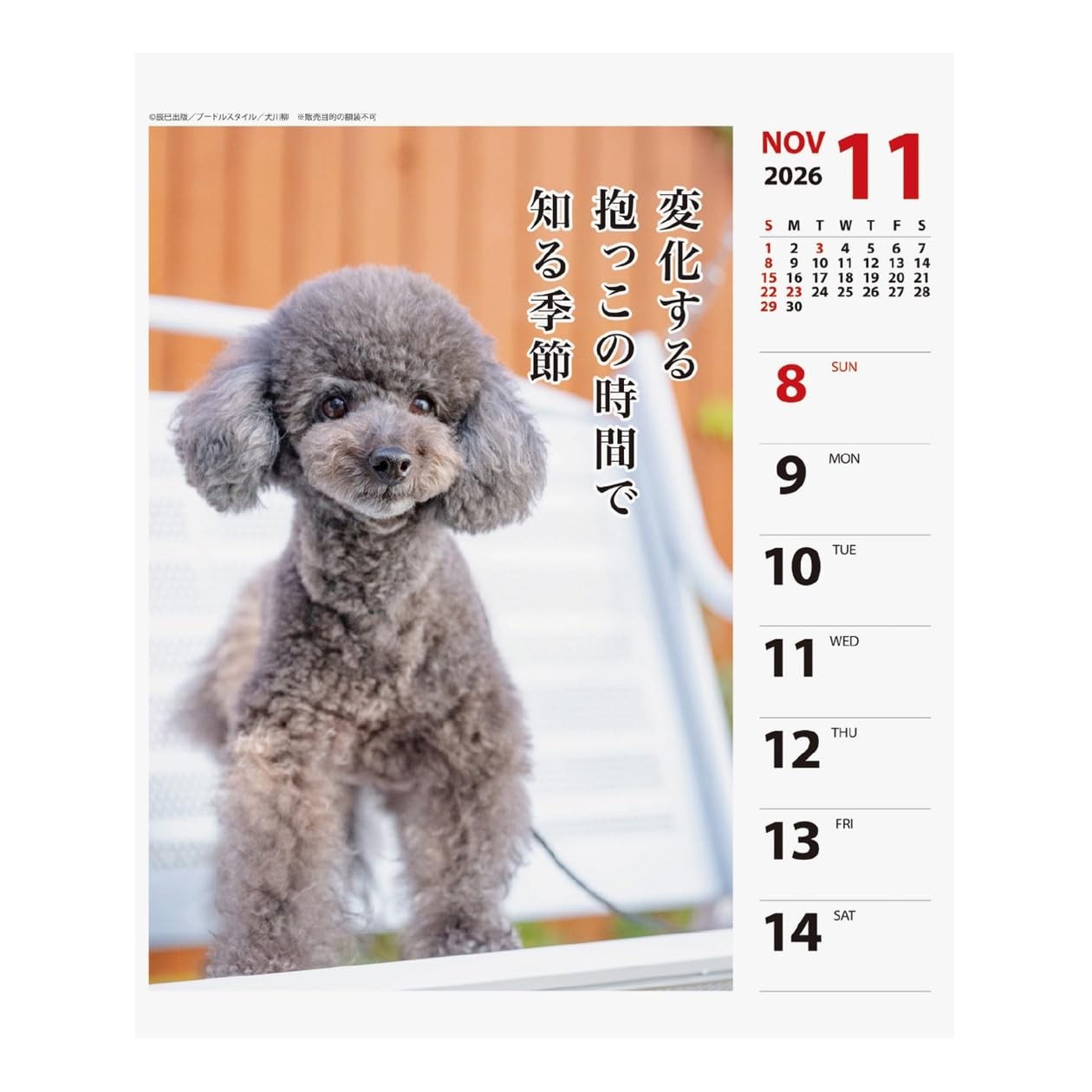 Art Print Japan 2026 Calendar Poodle Senryu Weekly