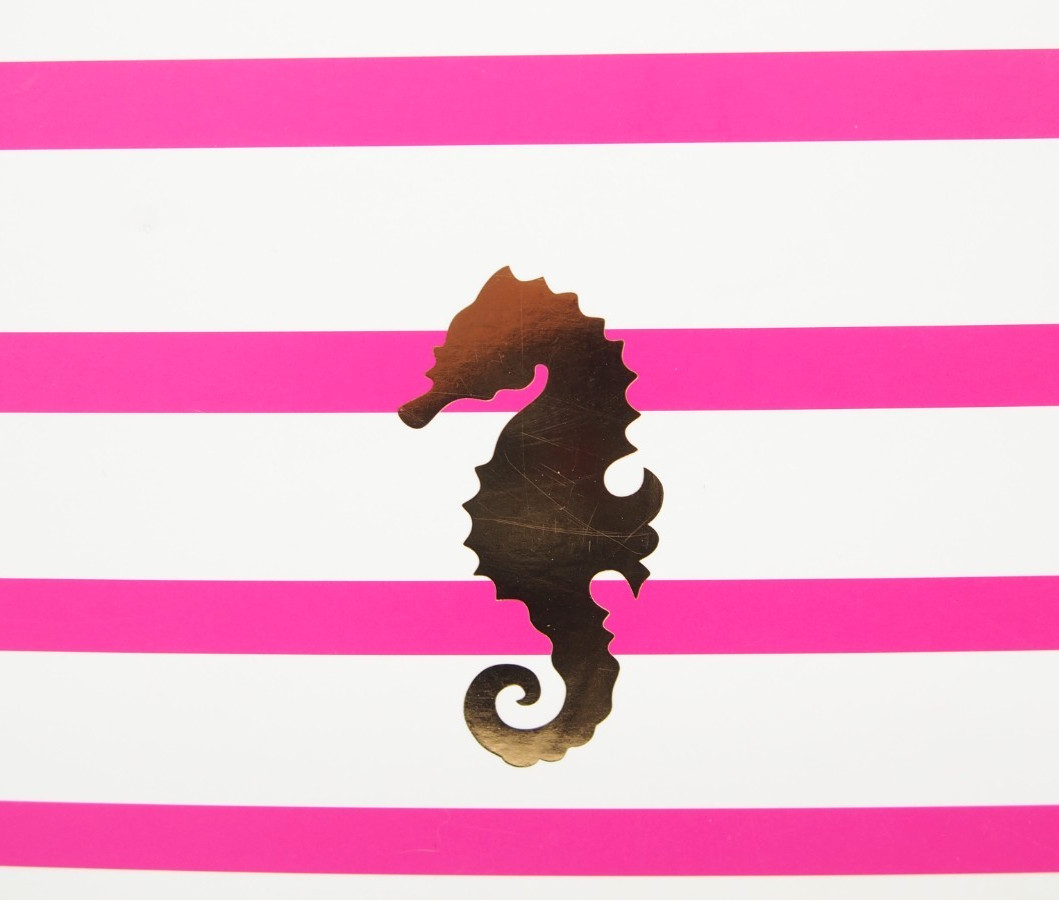 Class Act SET SAIL Nautical Pink White Seahorse Spiral Notebook Journal 120p New