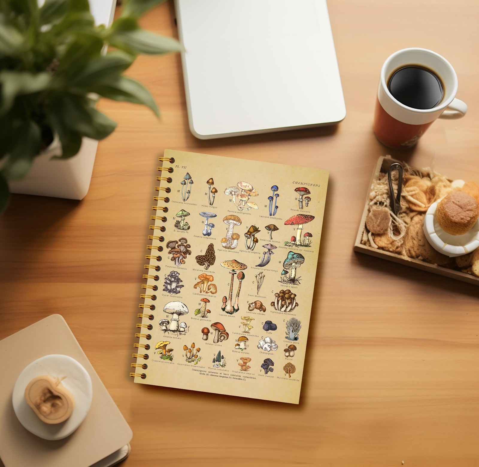 Guymn Vintage Botanical Mushroom Notebook Journal – Cottagecore Mushroom-2