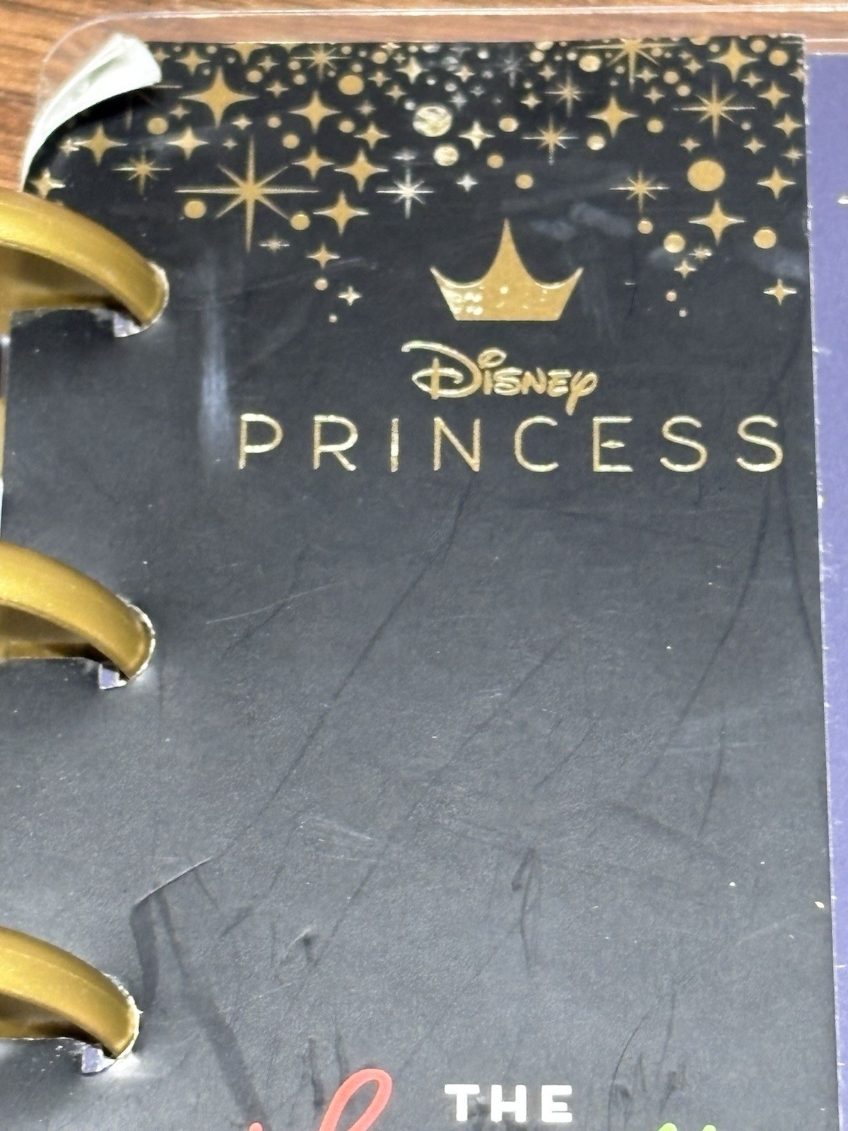 Happy Planner Undated Disney Princess Magic Begins Within Planner NOS