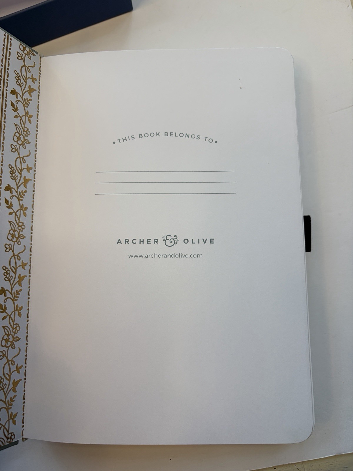 NEW in Box Archer & Olive A5 Dot Grid Notebook Mint Green “Delicate” 192 Pages