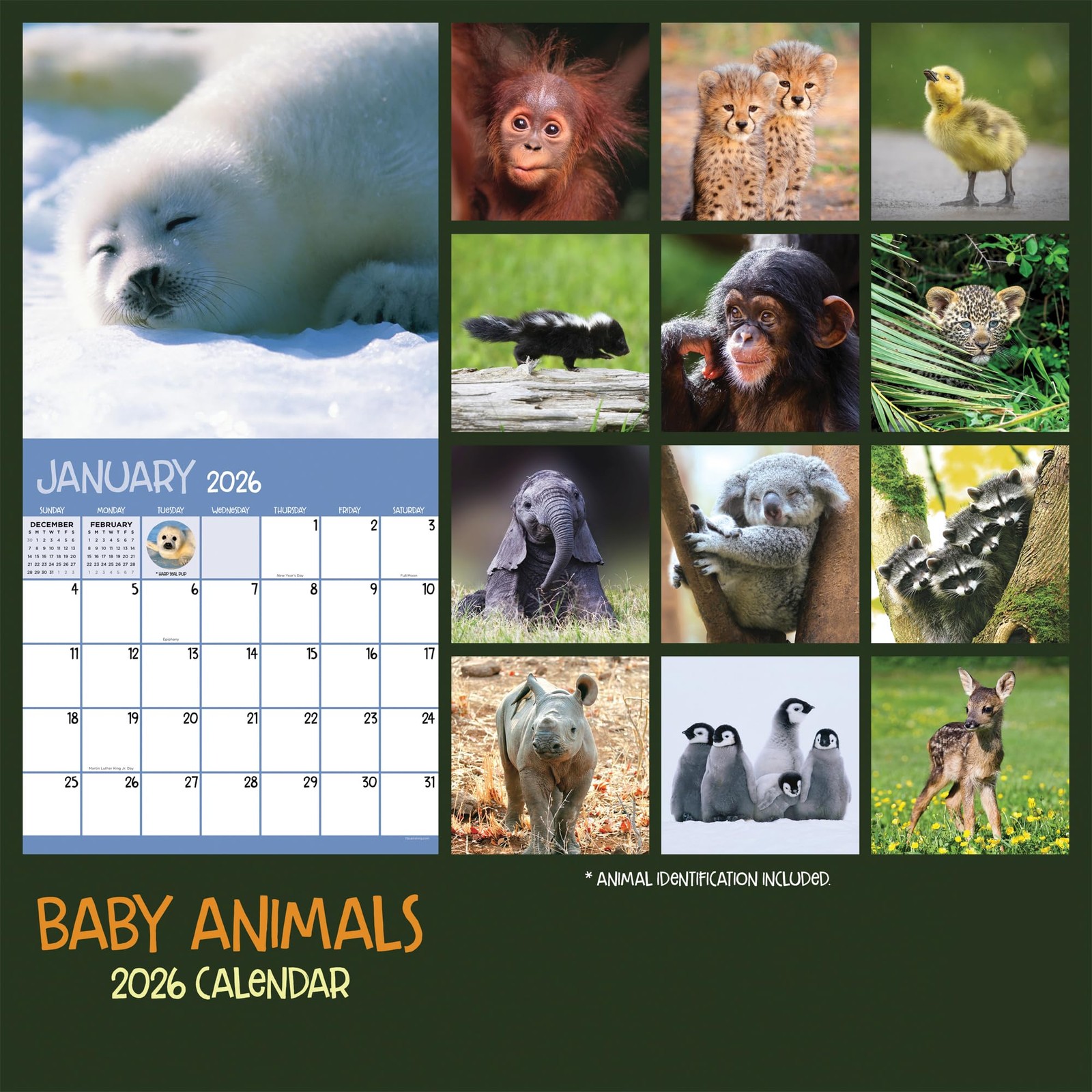 TF Publishing 2026 Baby Animals Wall Calendar – Large Grids for
