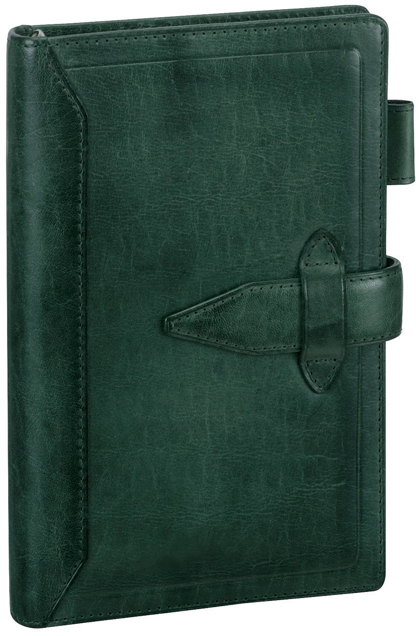 Reimei Fujii System Planner Davinci Roroma Classic Bible Green DB3011M