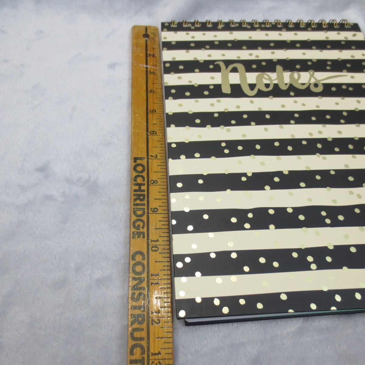 Clementine Paper Inc Black & Gold Stripes & Dots Spiral Notebook Notes Journal