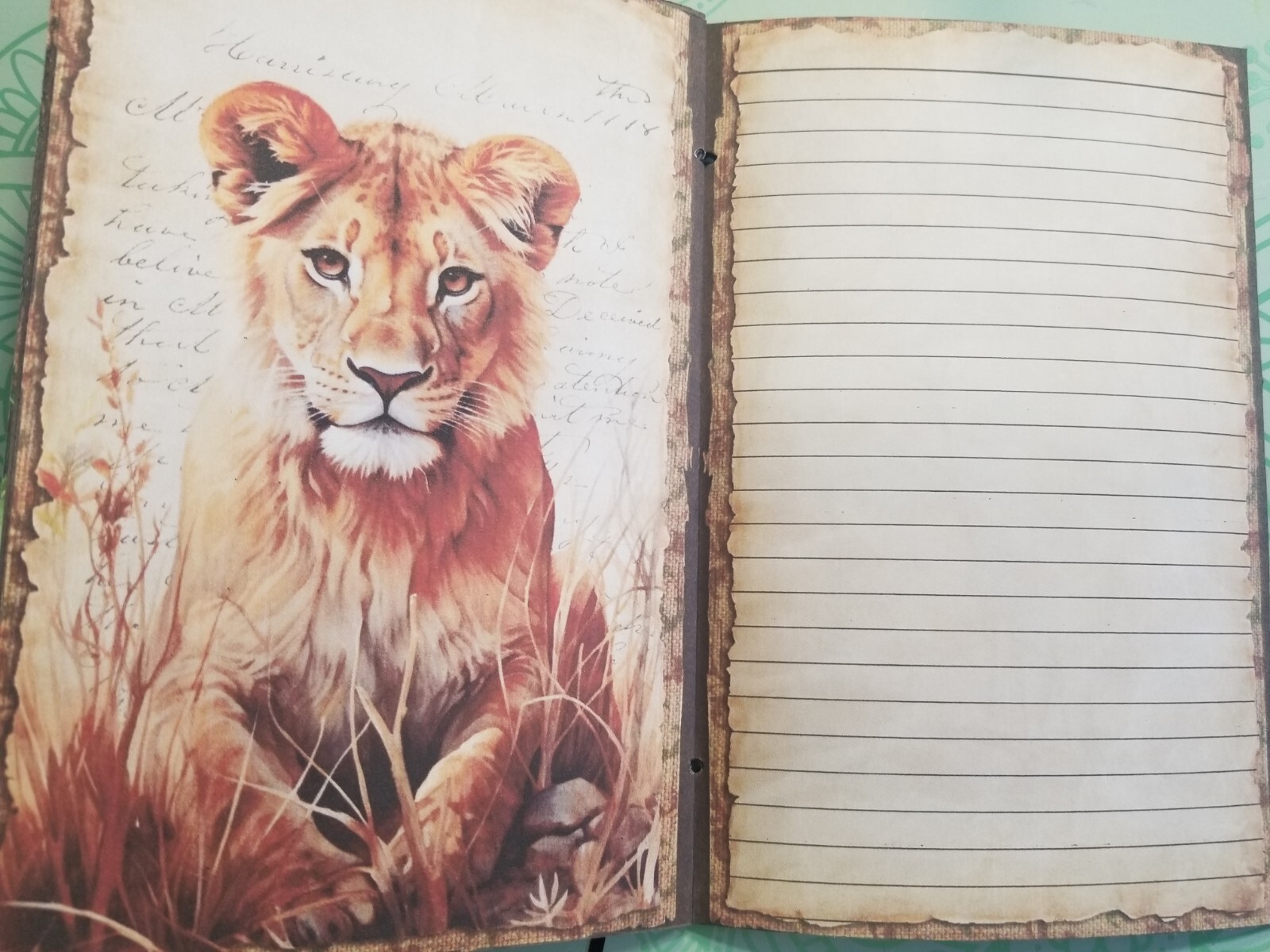 Junk Journal Blank Booklet “WILD KINGDOM” Nature HANDMADE LG 8.5″x5.5″ 40pg