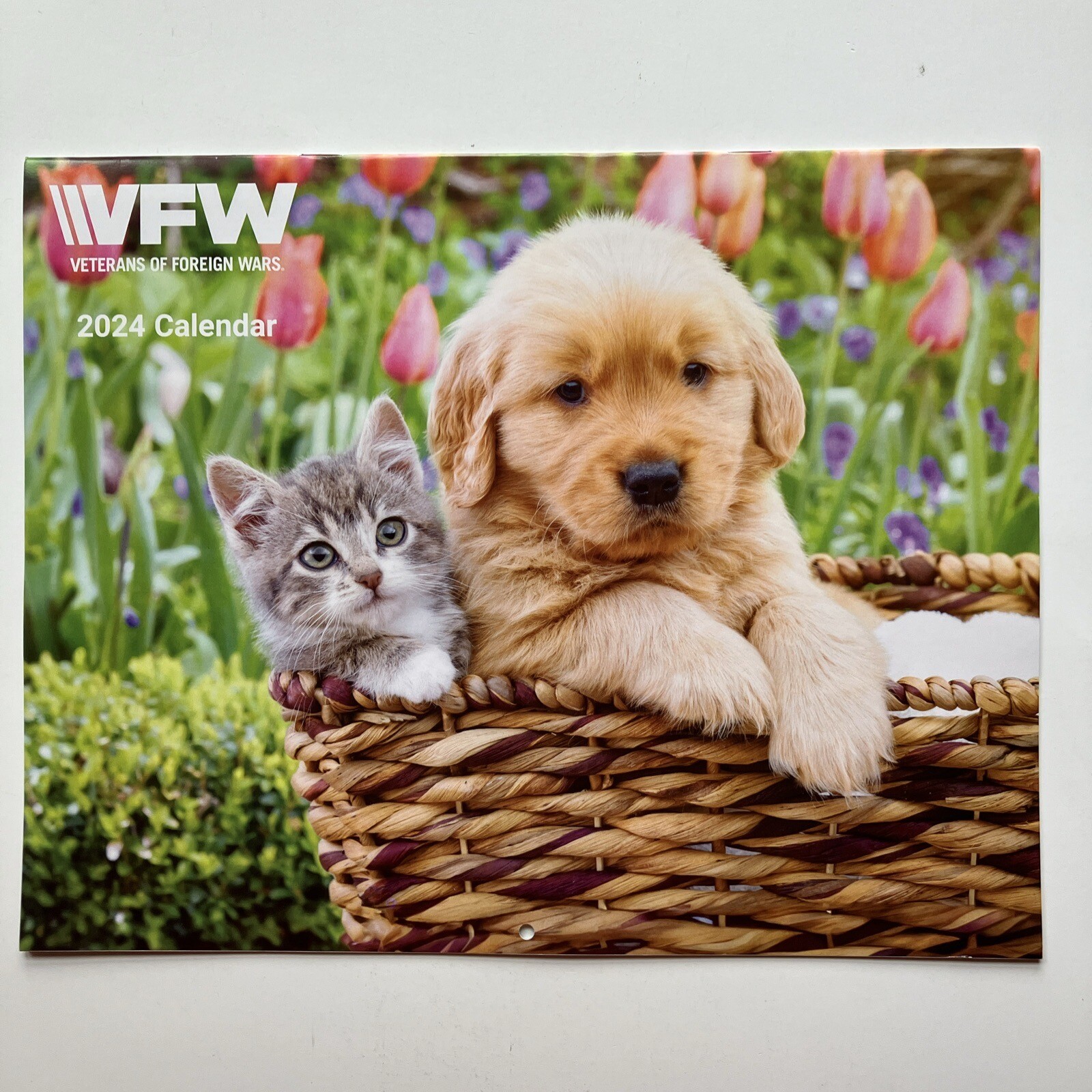 VFW Veterans of Foreign Wars Dogs Cats Animals Pets 12 Month 2024 Wall Calendar