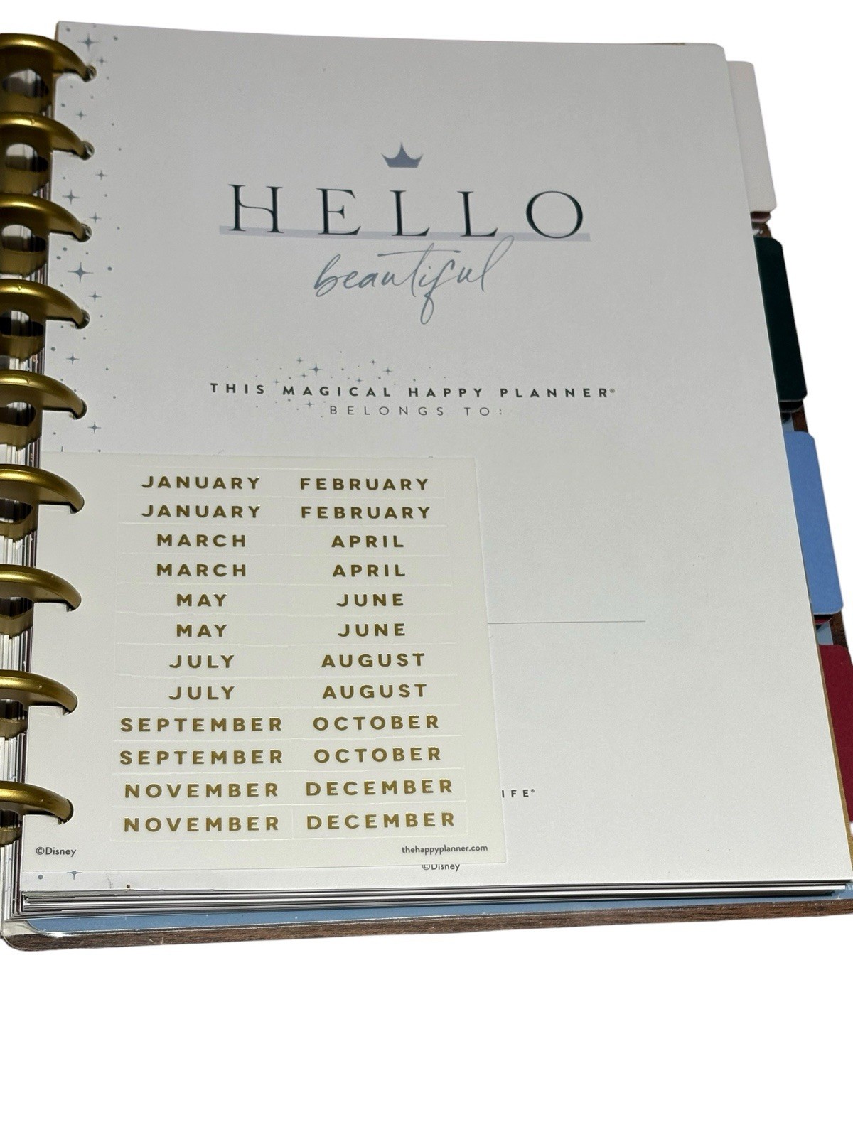 Happy Planner Undated Disney Princess Magic Begins Within Planner NOS