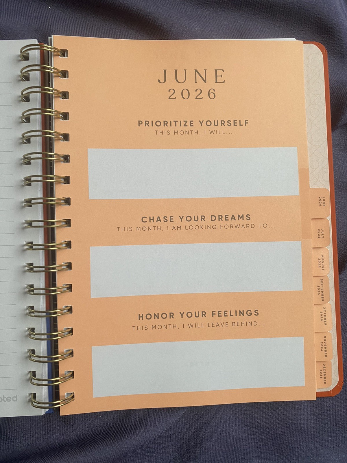 Be Rooted Yearly Planner 2026 7″x9″ 3 Girls Burnt Orange