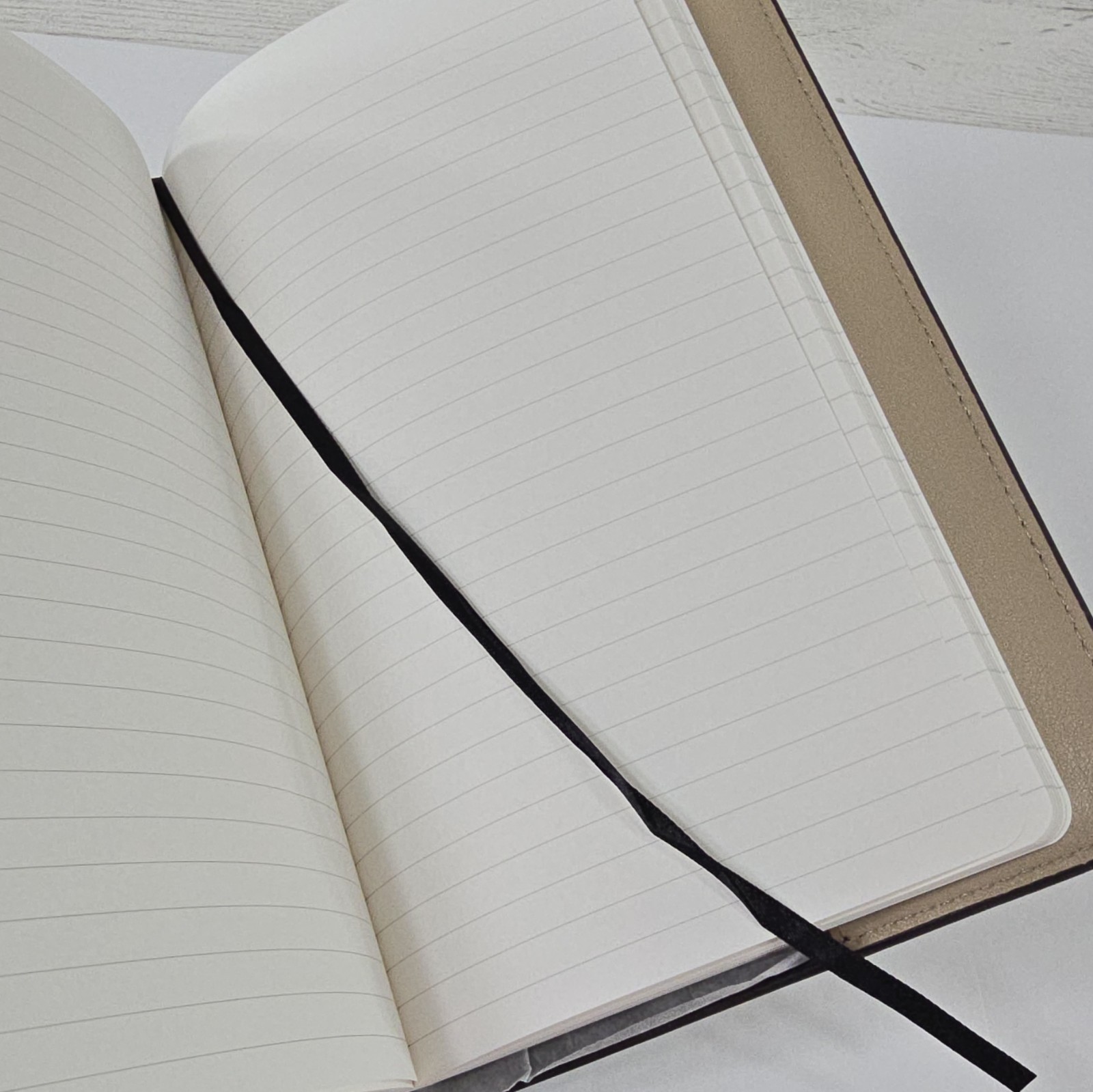 MICHAEL KORS Travel Accessories MD Leather Notebook Champagne Elastic Closure…