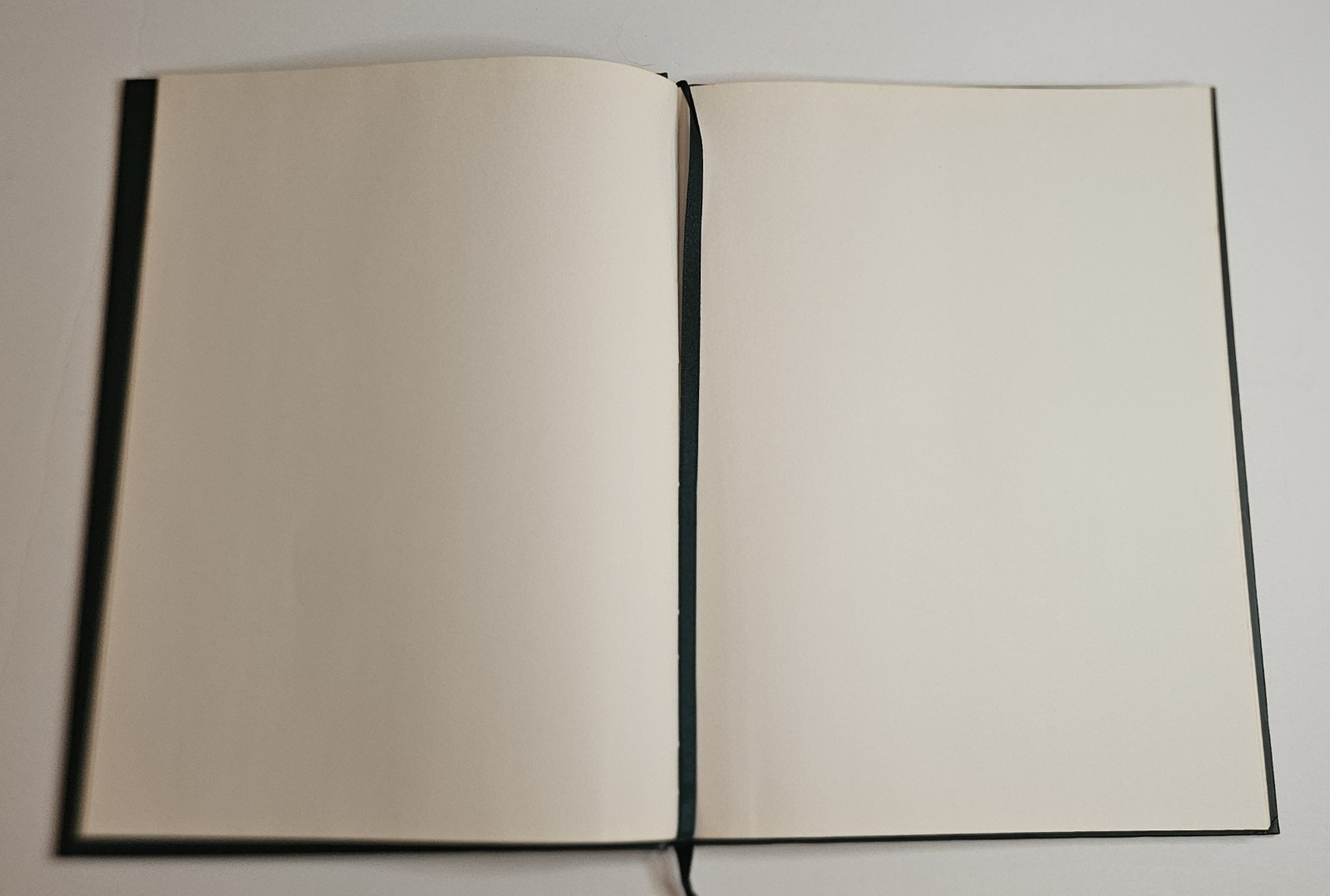 Anne Geddes Notebook Journal – Baby Holding Roses UnRuled Blank Pages 1996
