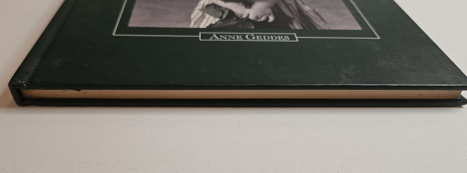Anne Geddes Notebook Journal – Baby Holding Roses UnRuled Blank Pages 1996