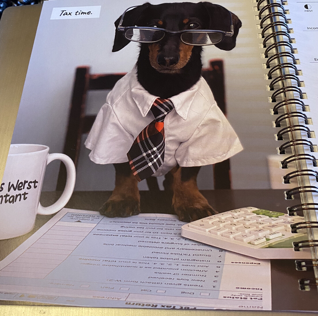 Crusoe the Celebrity Dachshund 2024 6.5″ x 8.5″ Engagement Calendar