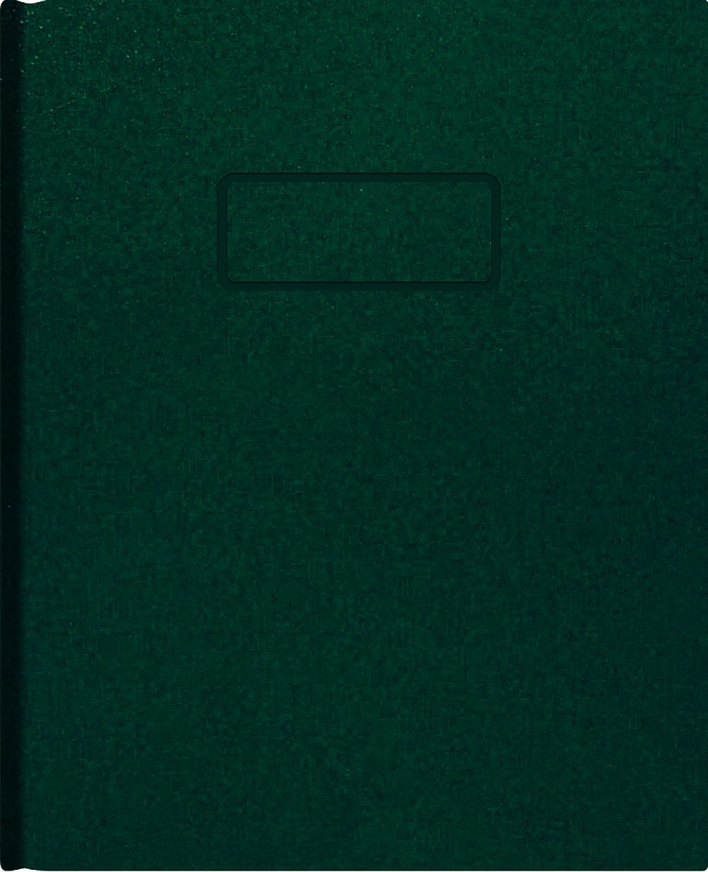 Blueline Business Notebook, Green, 9.25″ x 7.25″, 9.25 x 7.25 inches, Green
