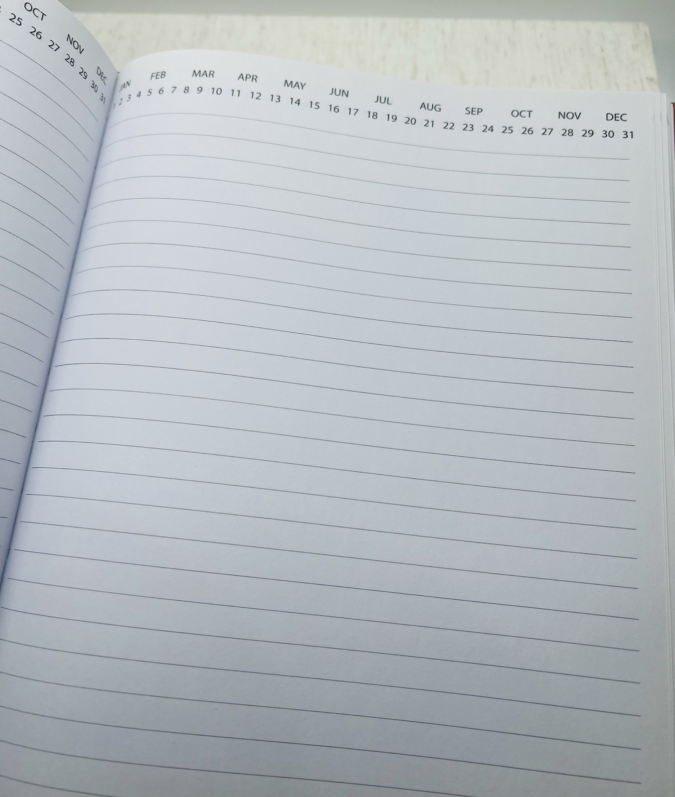 Be Rooted Aligned With My Purpose Lined Daily Planner Journal Notebook Organizer