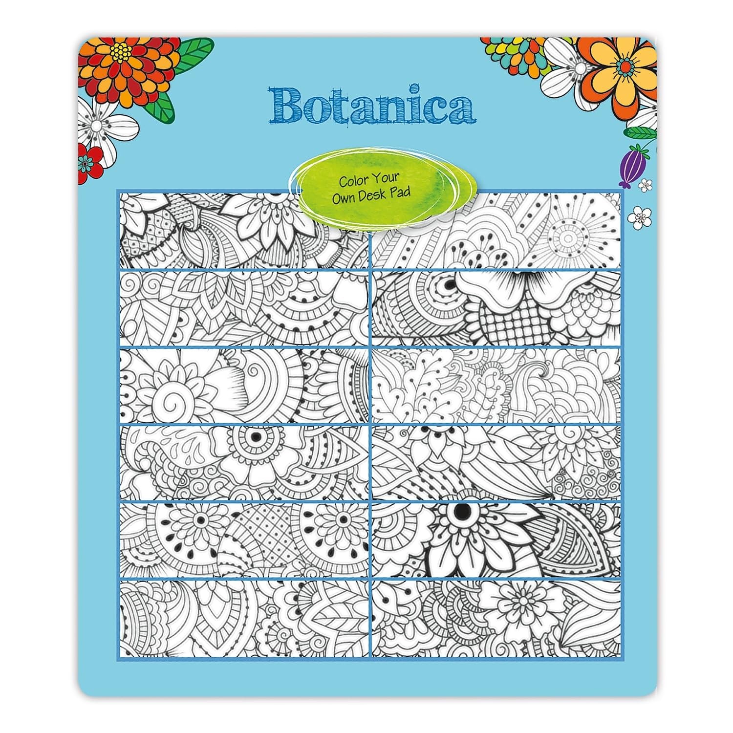 2025 Blueline DoodlePlan Botanica 22-inch x 17-inch Monthly Coloring Black
