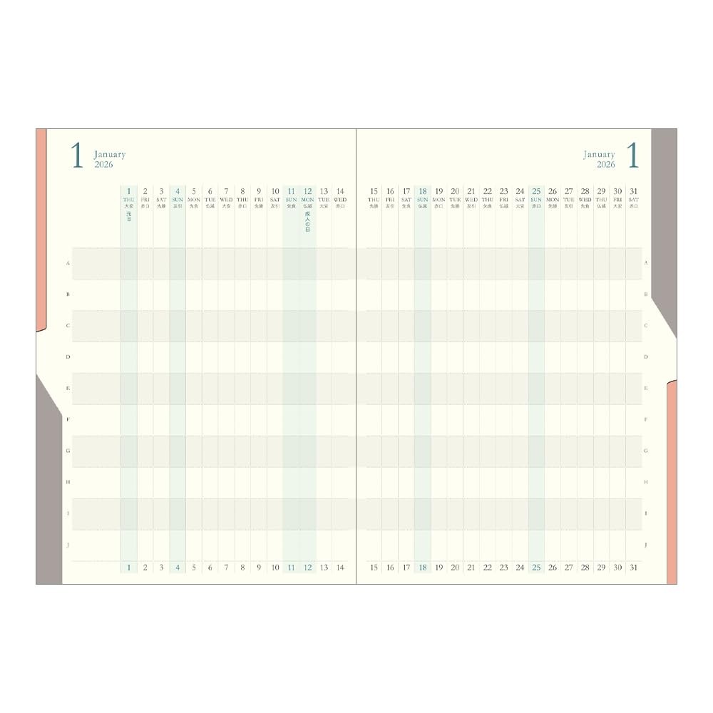 DESIGNPHIL midori Planner 2026 B6 Monthly Progression Light Pink