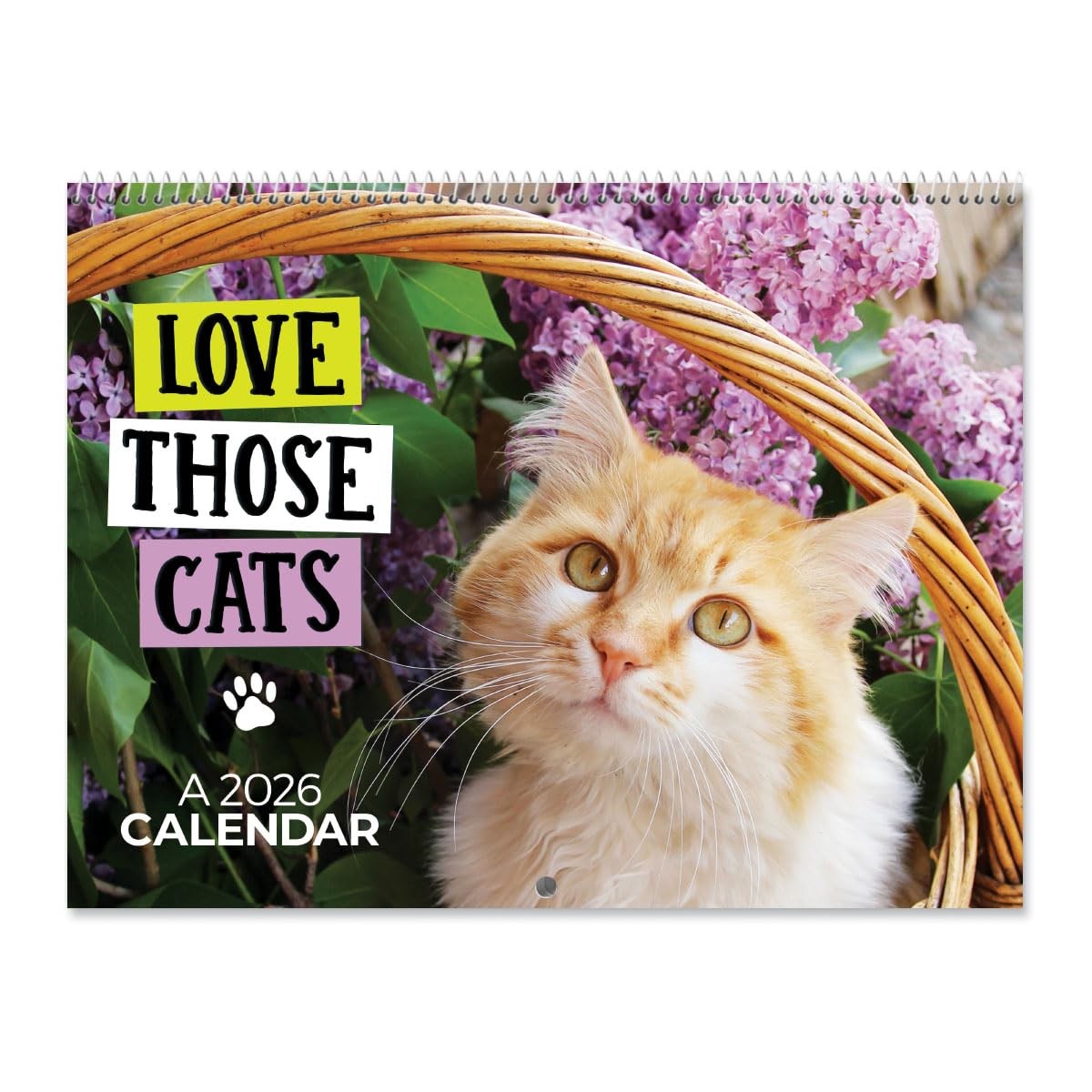 Current 2026 Love Those Cats Wall Calendar, 12-Inch x 9-Inch Size 2026