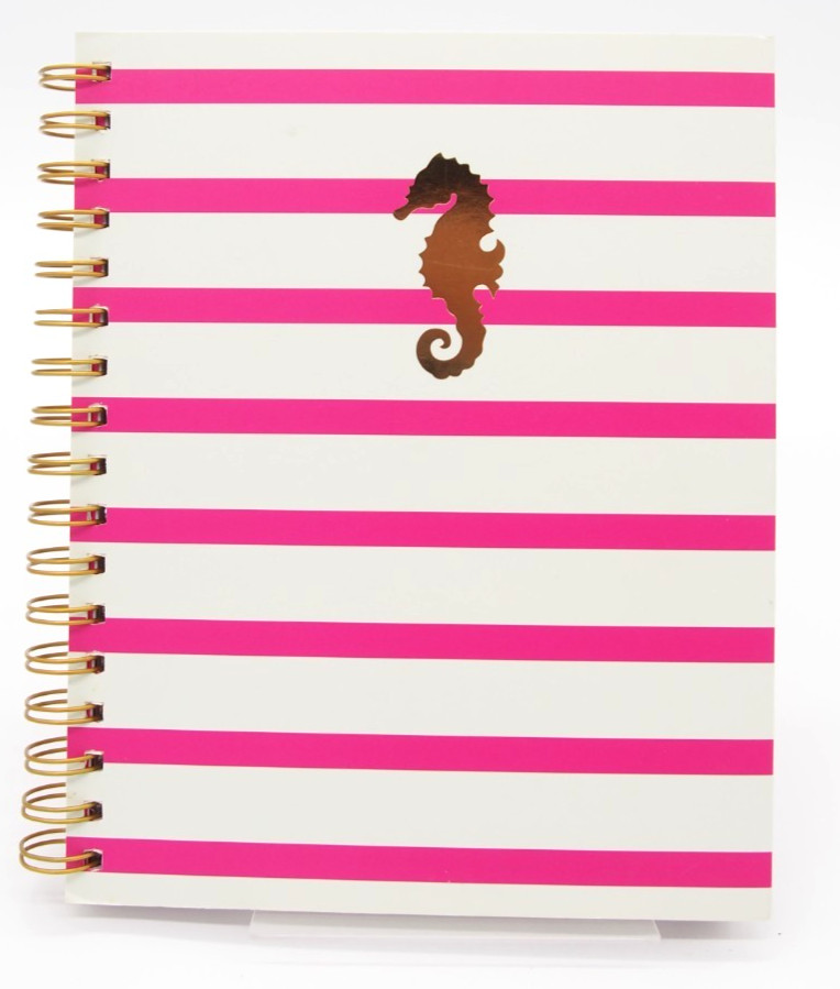 Class Act SET SAIL Nautical Pink White Seahorse Spiral Notebook Journal 120p New
