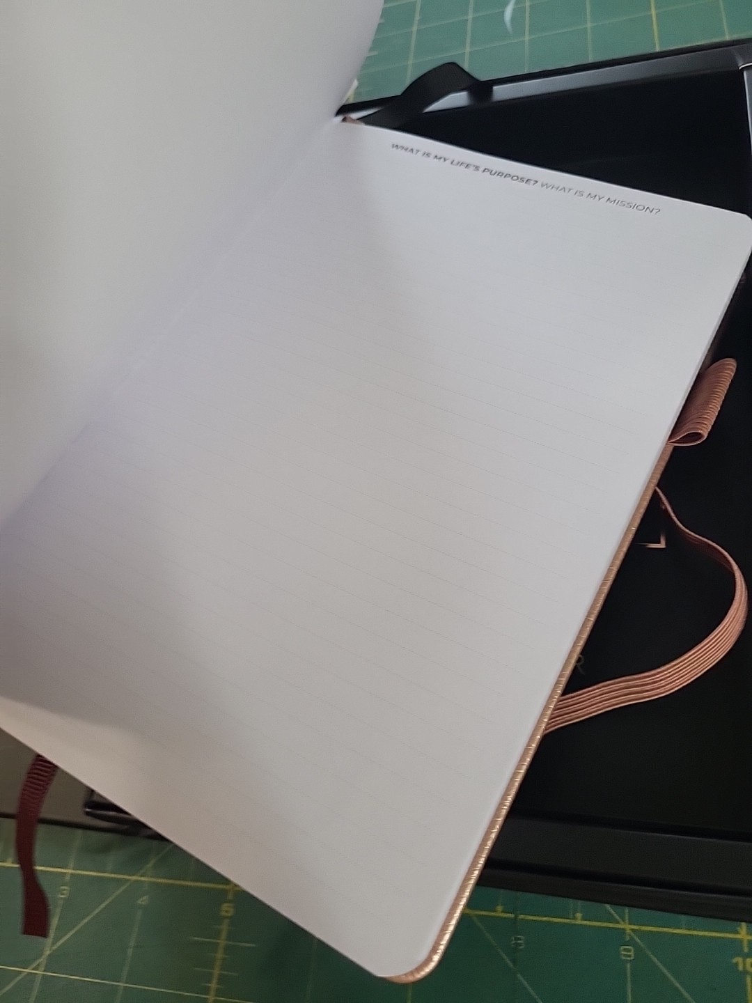 New In Box The Clever Fox 13 Weekly Ultimate Achievers Planner Rose Gold Book