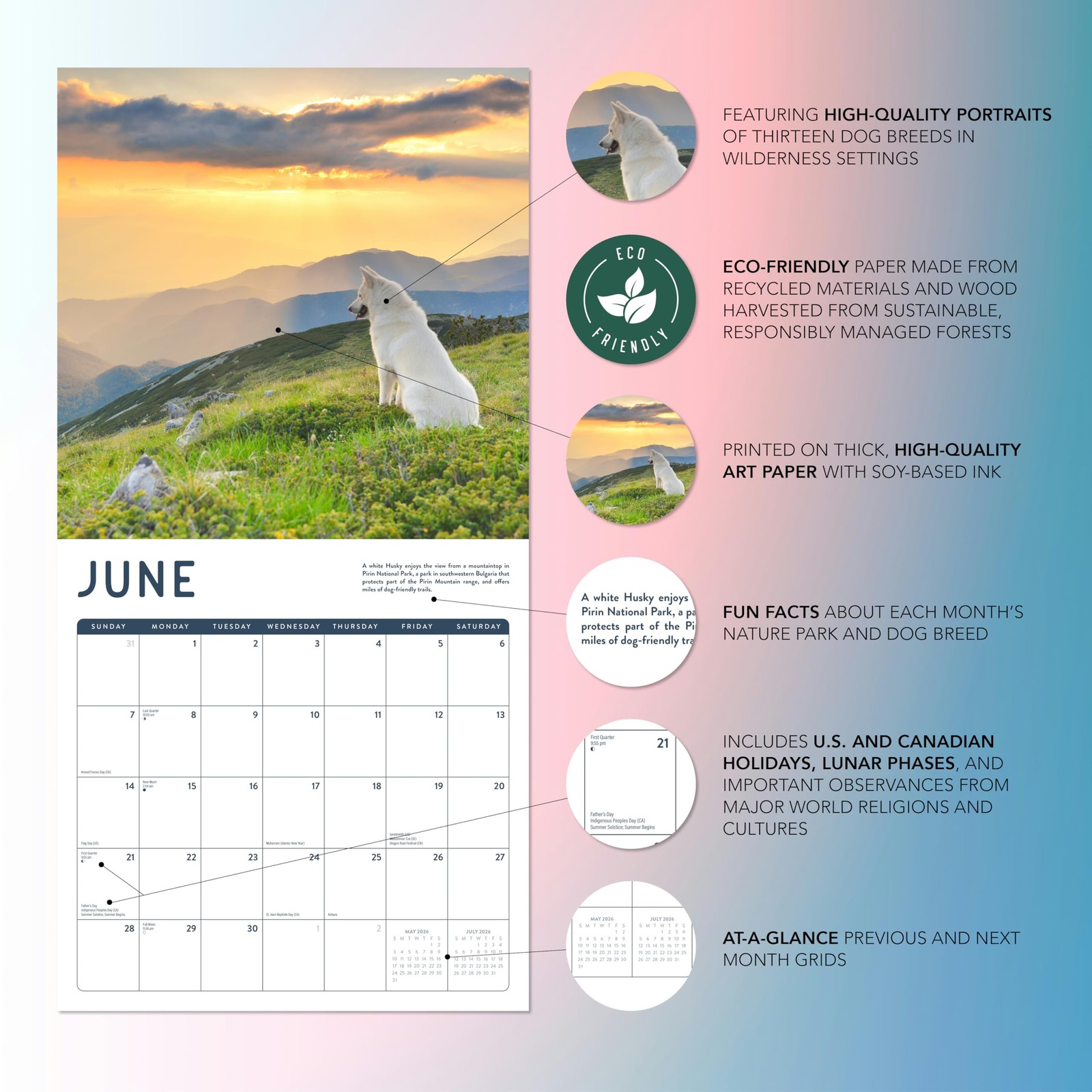 Dogs in the Wilderness 2026 Calendar | 2026 Wall 12″W x 12″H, 2026