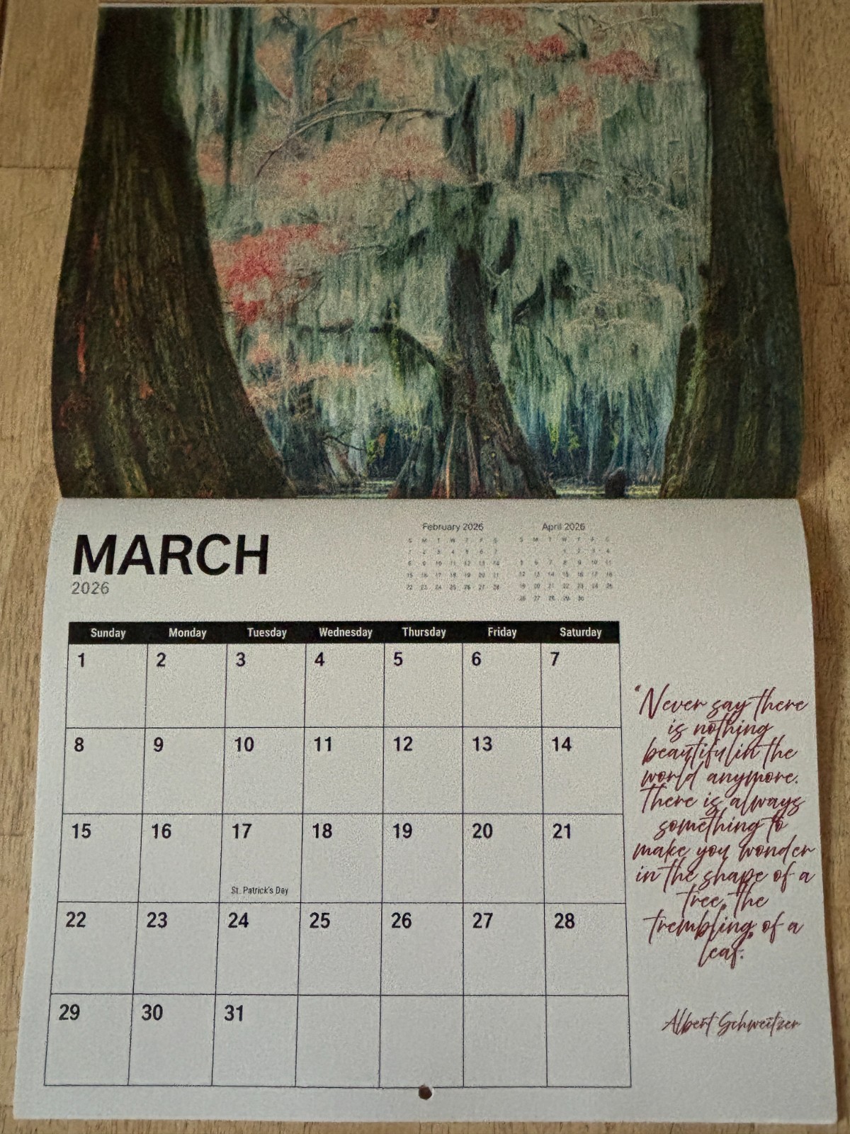 Tree Chronicles – 2026- 12-Month Wall Calendar – Great Tree Photography!