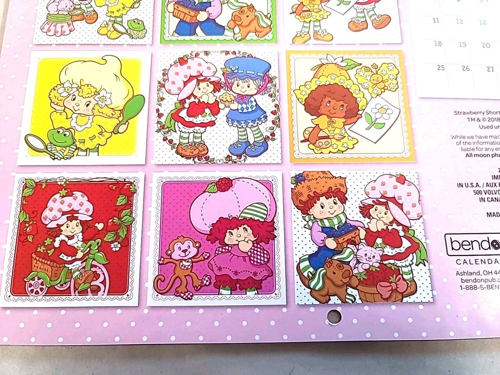 2019 Strawberry Shortcake 12 Month Wall Calendar ( Open) NOS