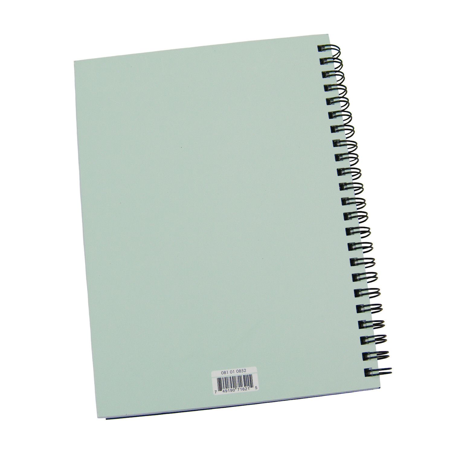 Green Inspired Motivation Writing Journal 1-Subject Spiral Notebook Lined Diary