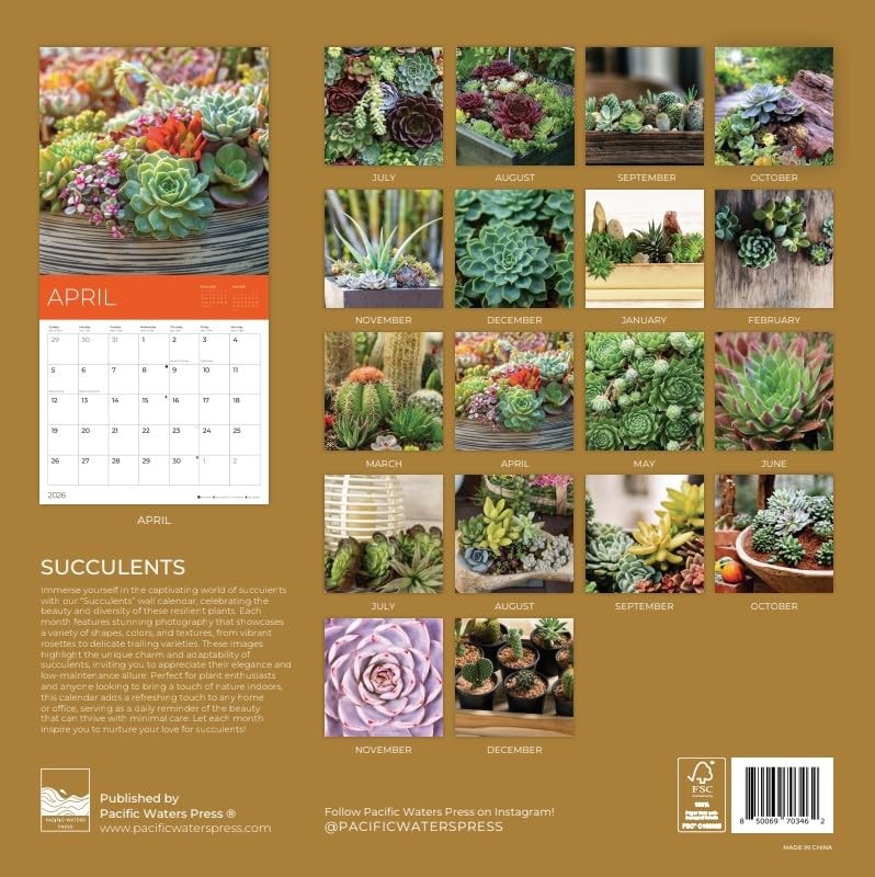 2026 Succulents Wall Calendar 18 Month | 12″ x 24″ Open | 12 x 12, Succelents