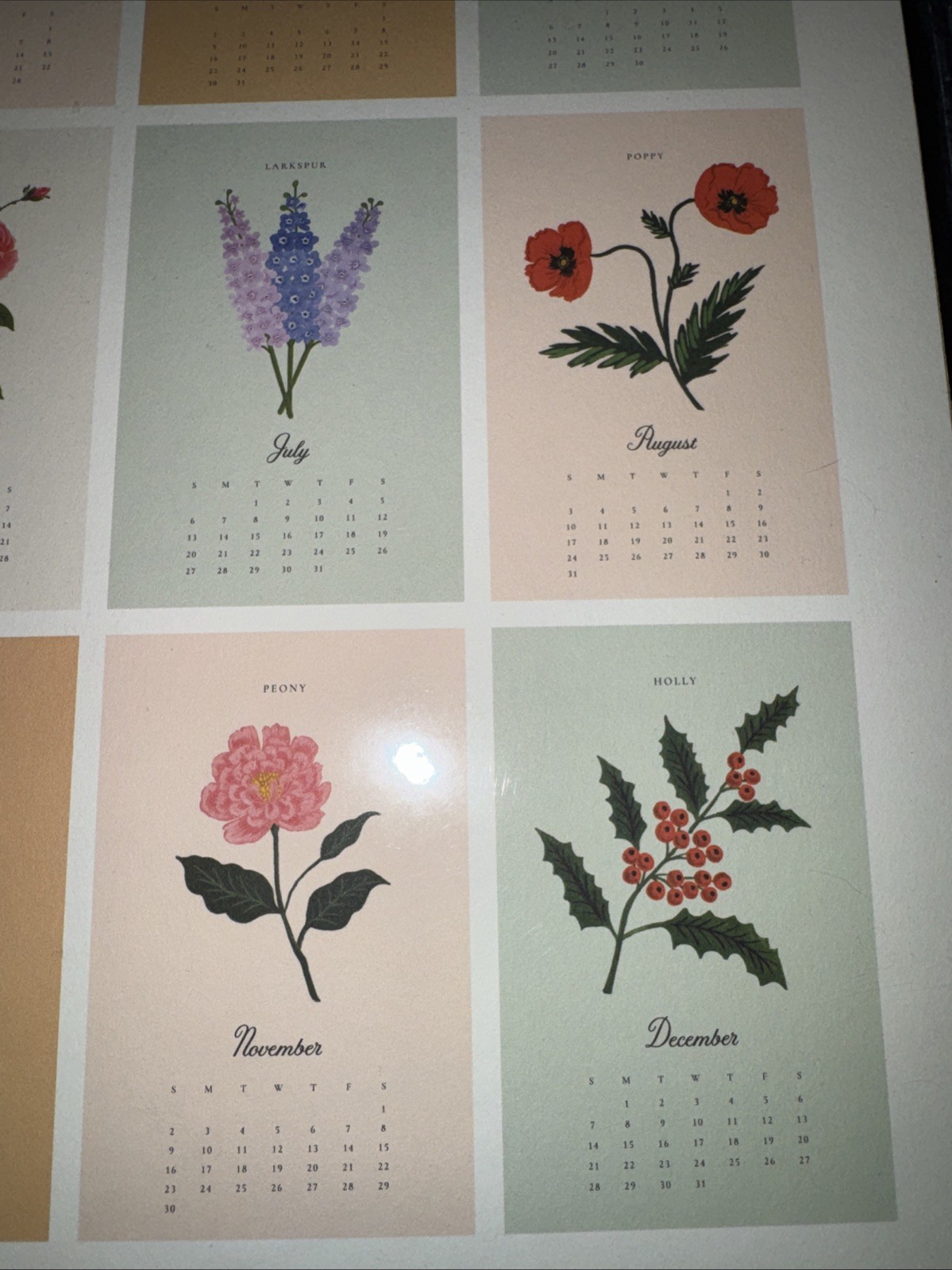 NEW Rifle Paper Co Calendar 2025 Say It Flowers Large Wall Calendar For Framing