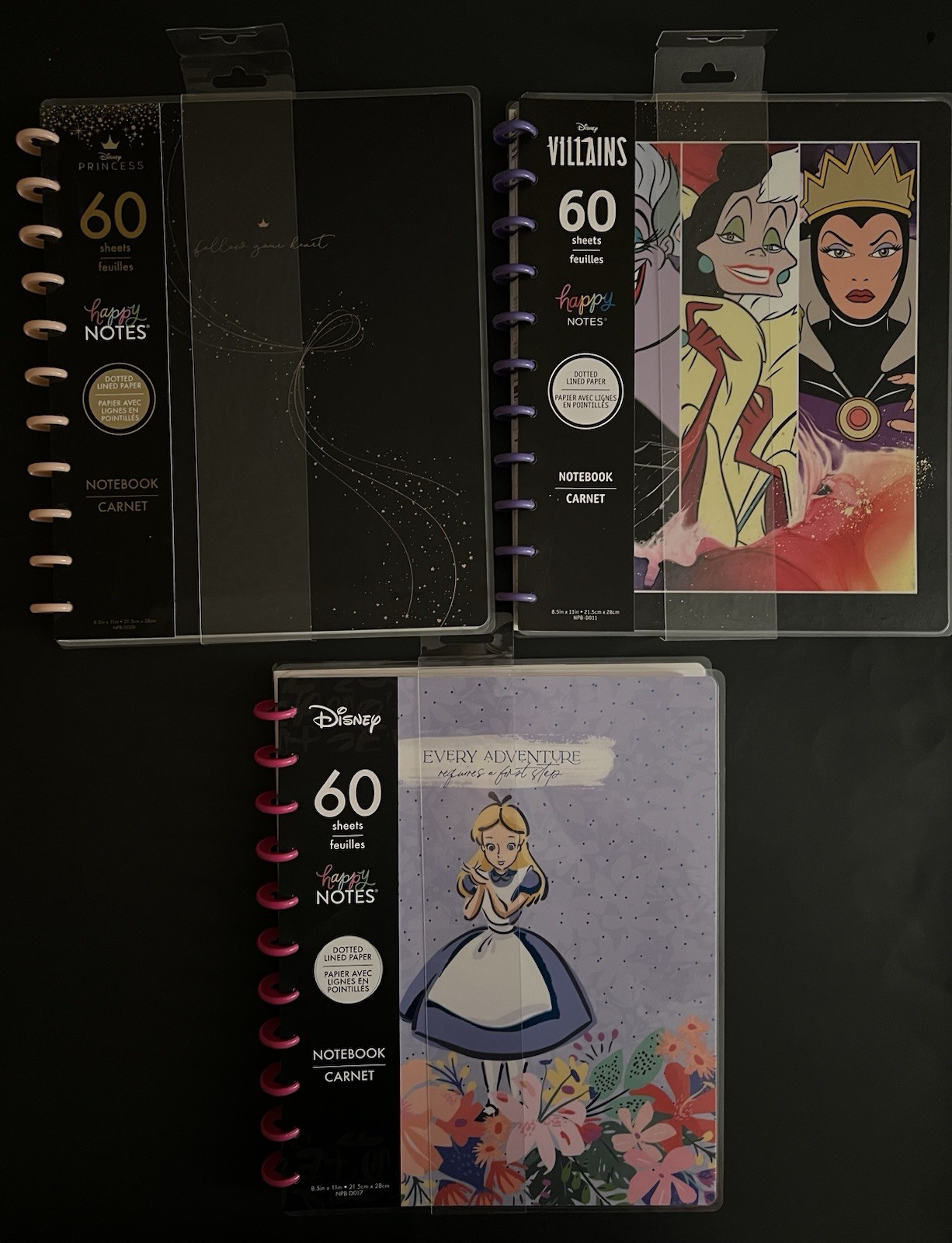 Happy Planner Disney Big Notebooks Bundle