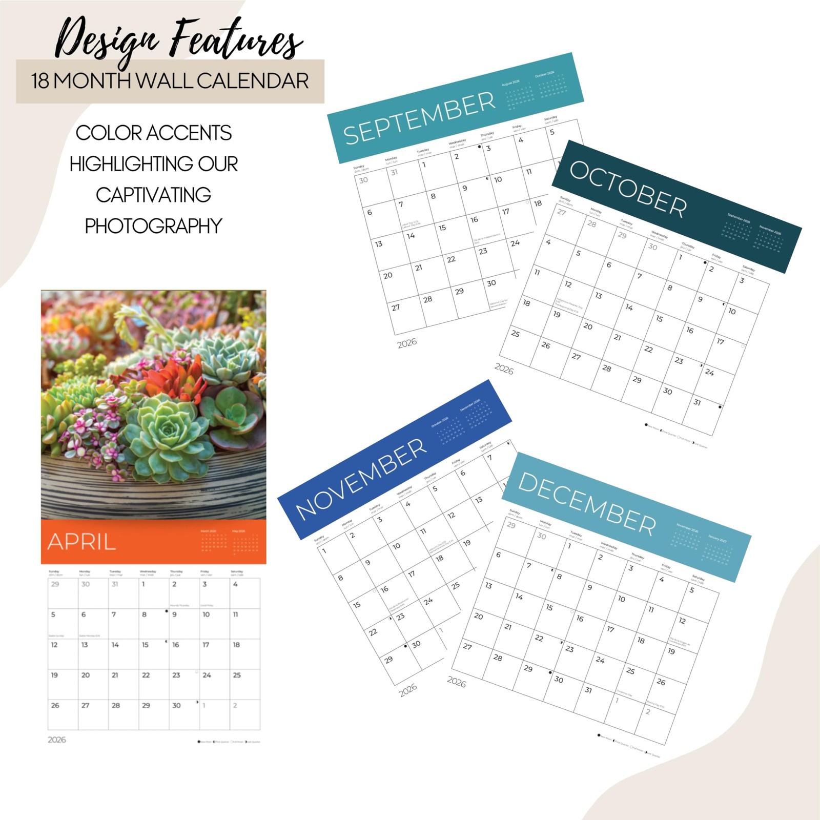 2026 Succulents Wall Calendar 18 Month | 12″ x 24″ Open | 12 x 12, Succelents